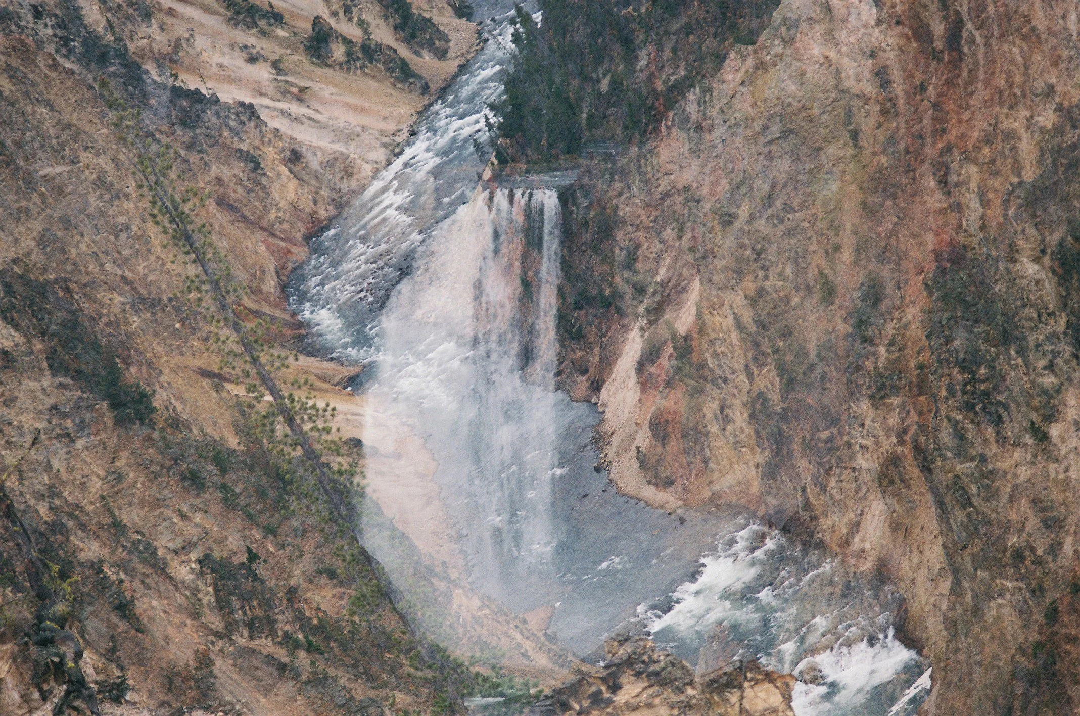 Photo Collection - a soft lunacy_19.JPG