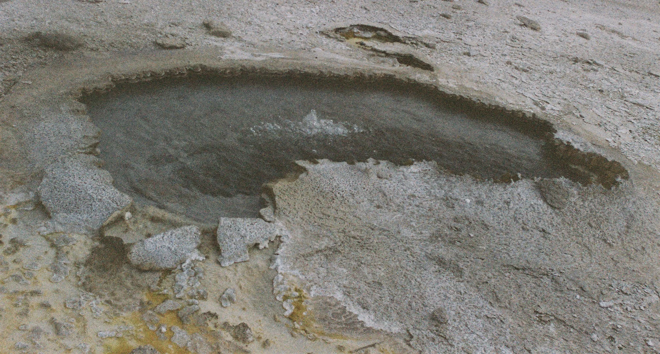 Photo Collection - a soft lunacy_12.JPG