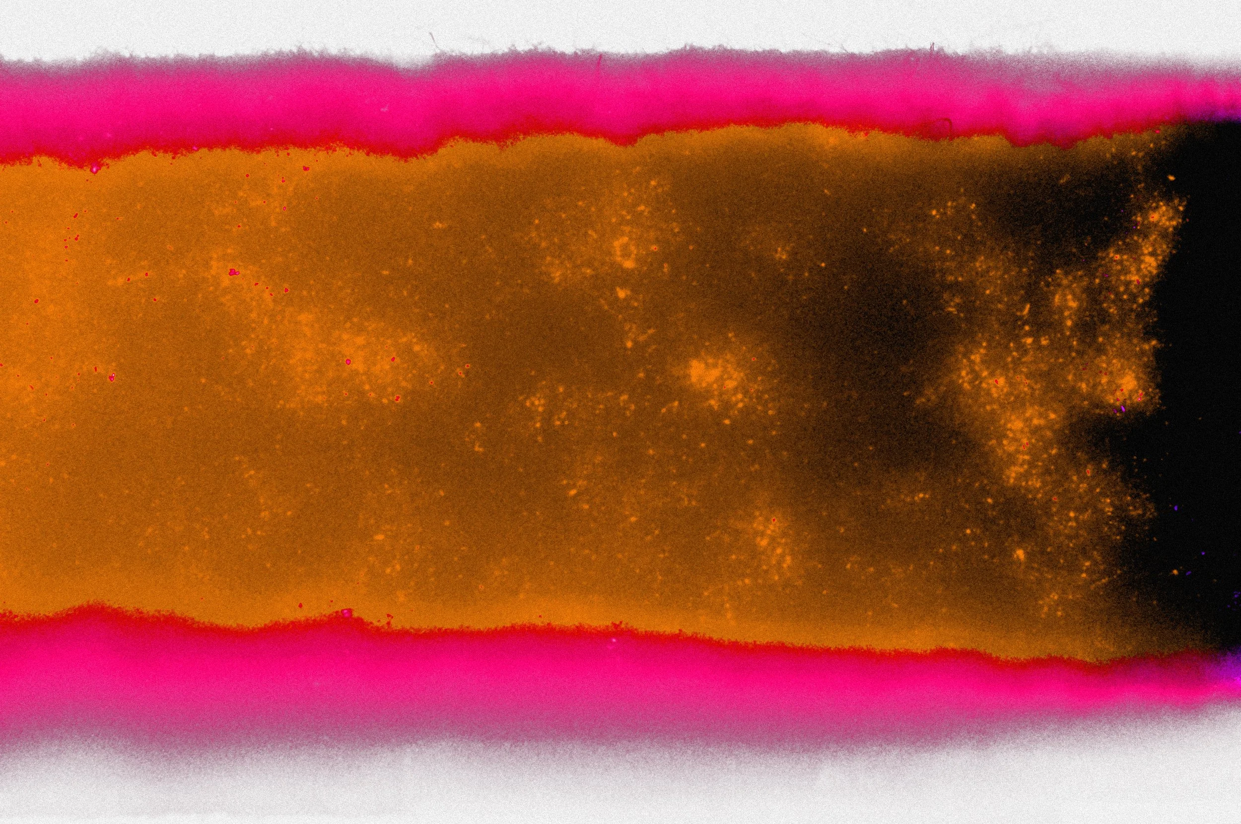 6 R1-09298-0007 e.jpg