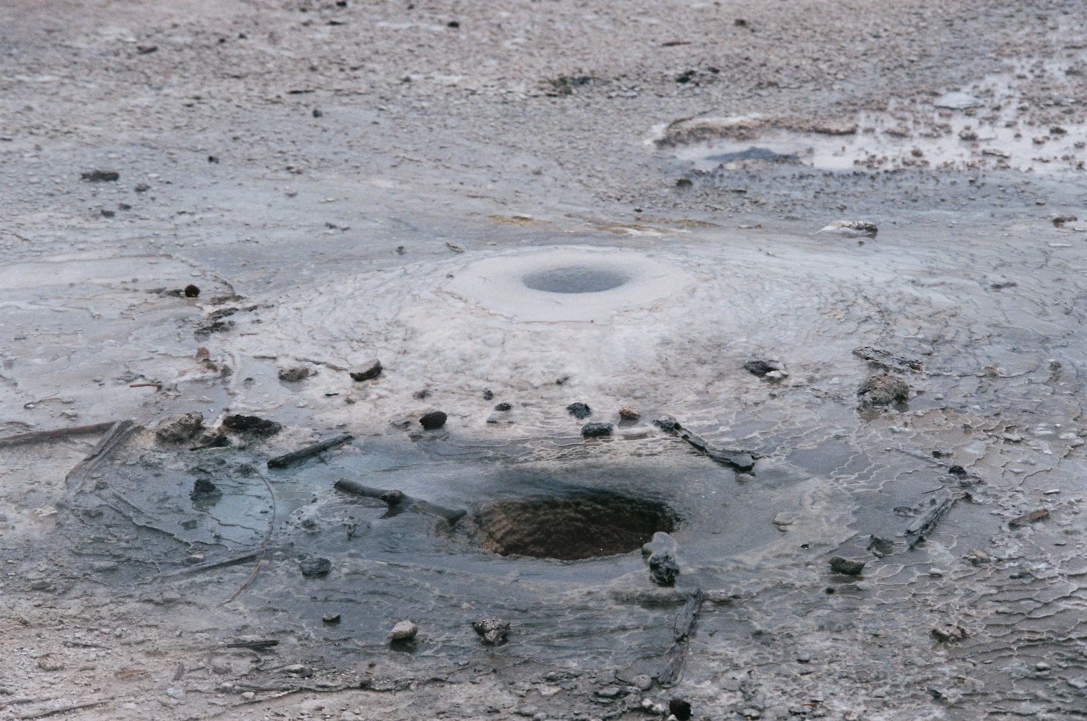 Photo Collection - a soft lunacy_4.JPG