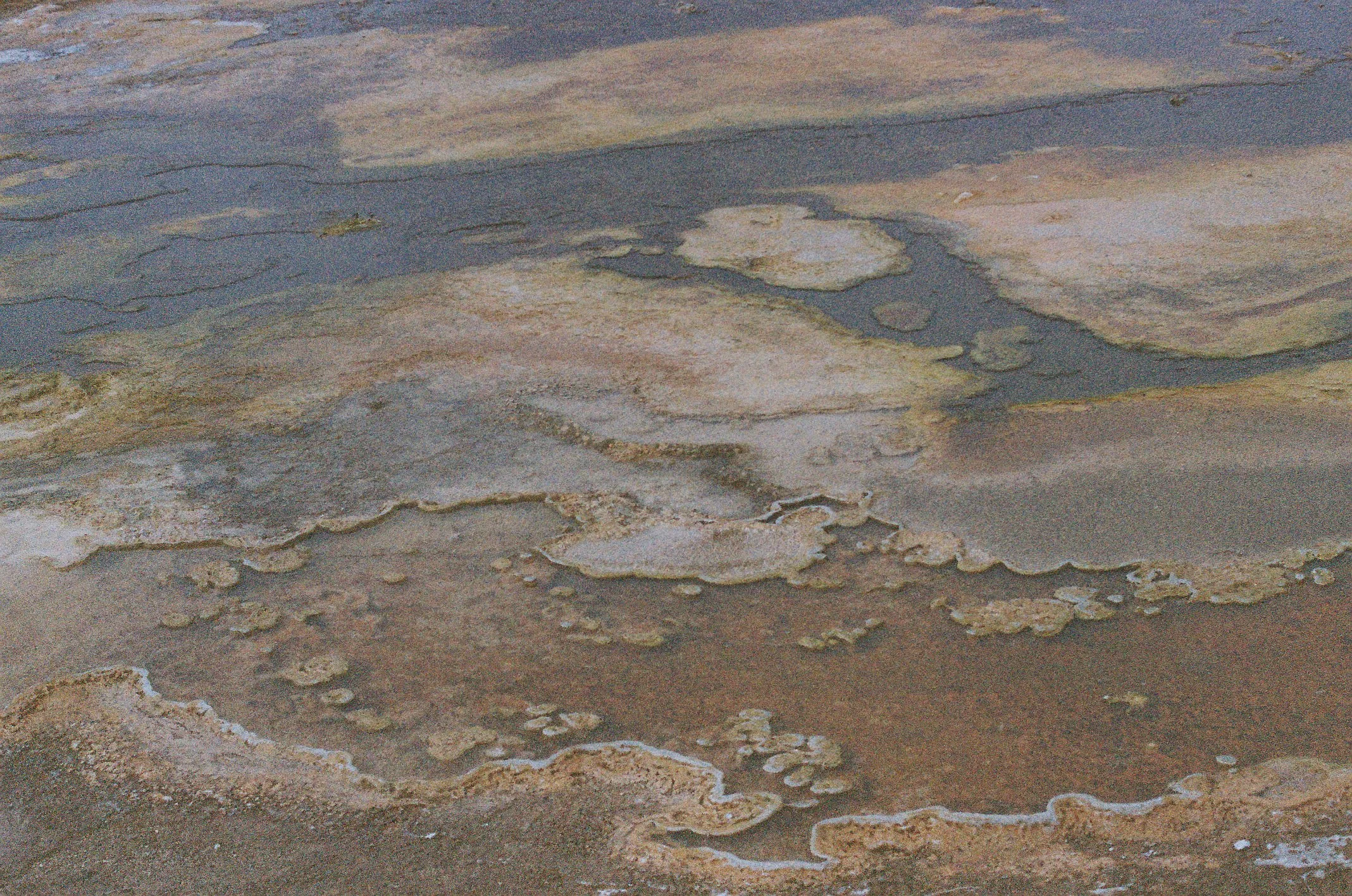 Photo Collection - a soft lunacy_16.JPG