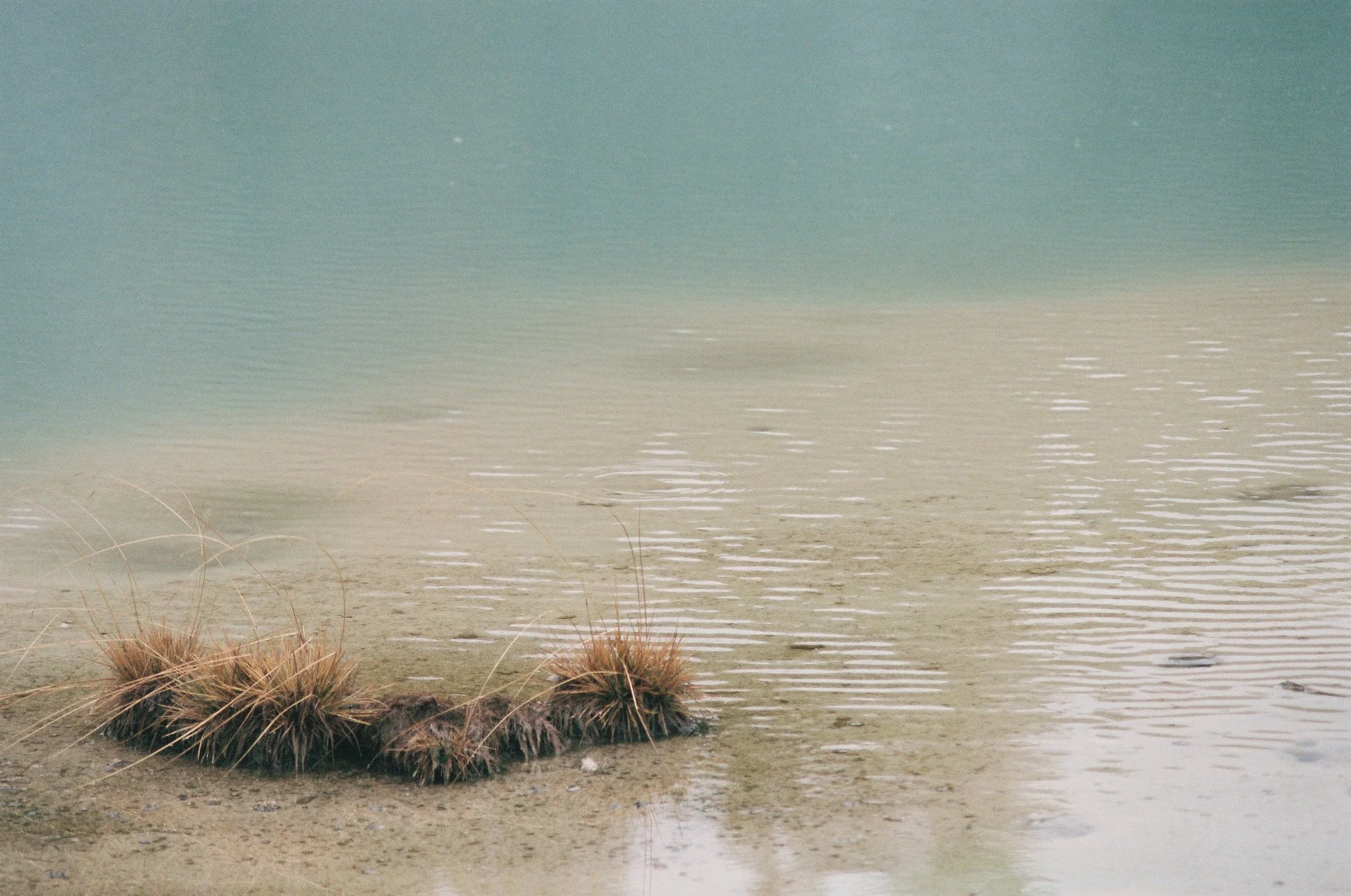 Photo Collection - a soft lunacy_3.JPG