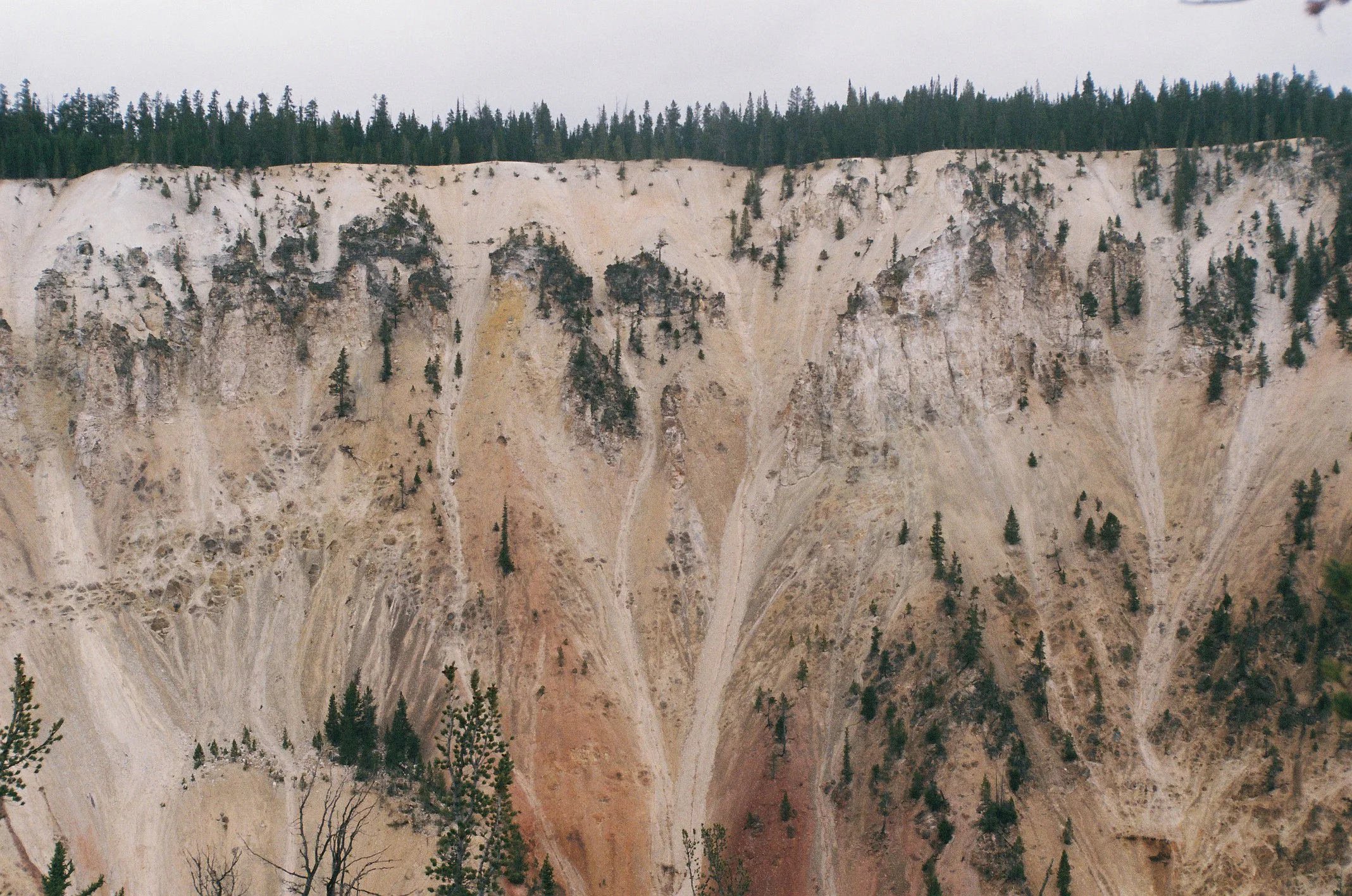 Photo Collection - a soft lunacy_18.JPG