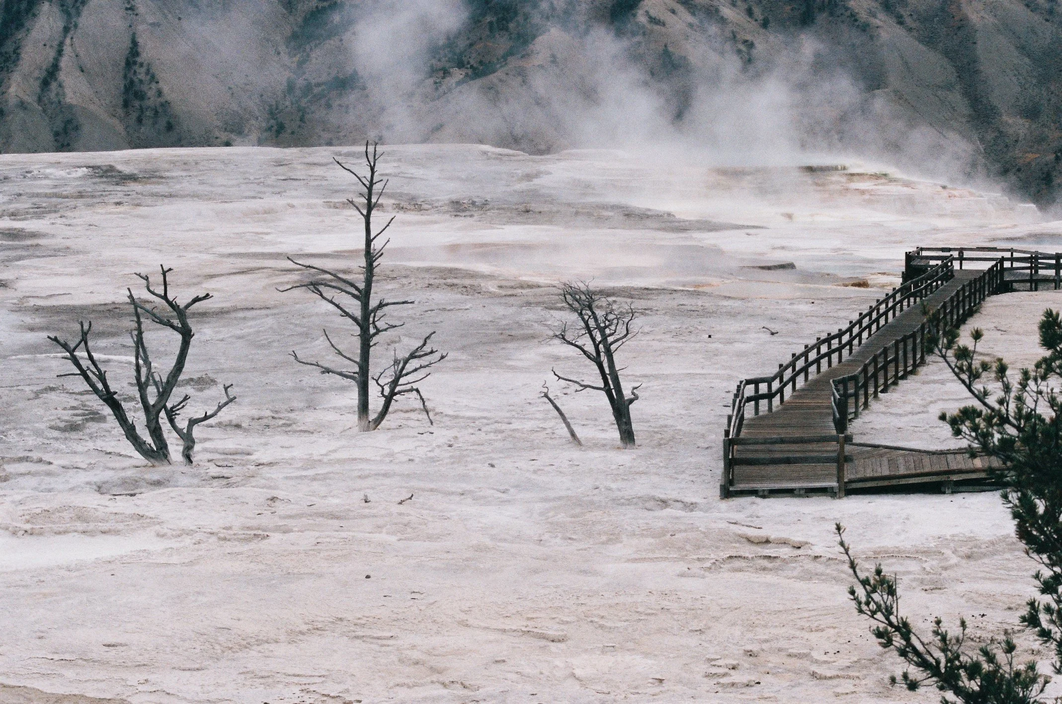 Photo Collection - a soft lunacy_6.JPG