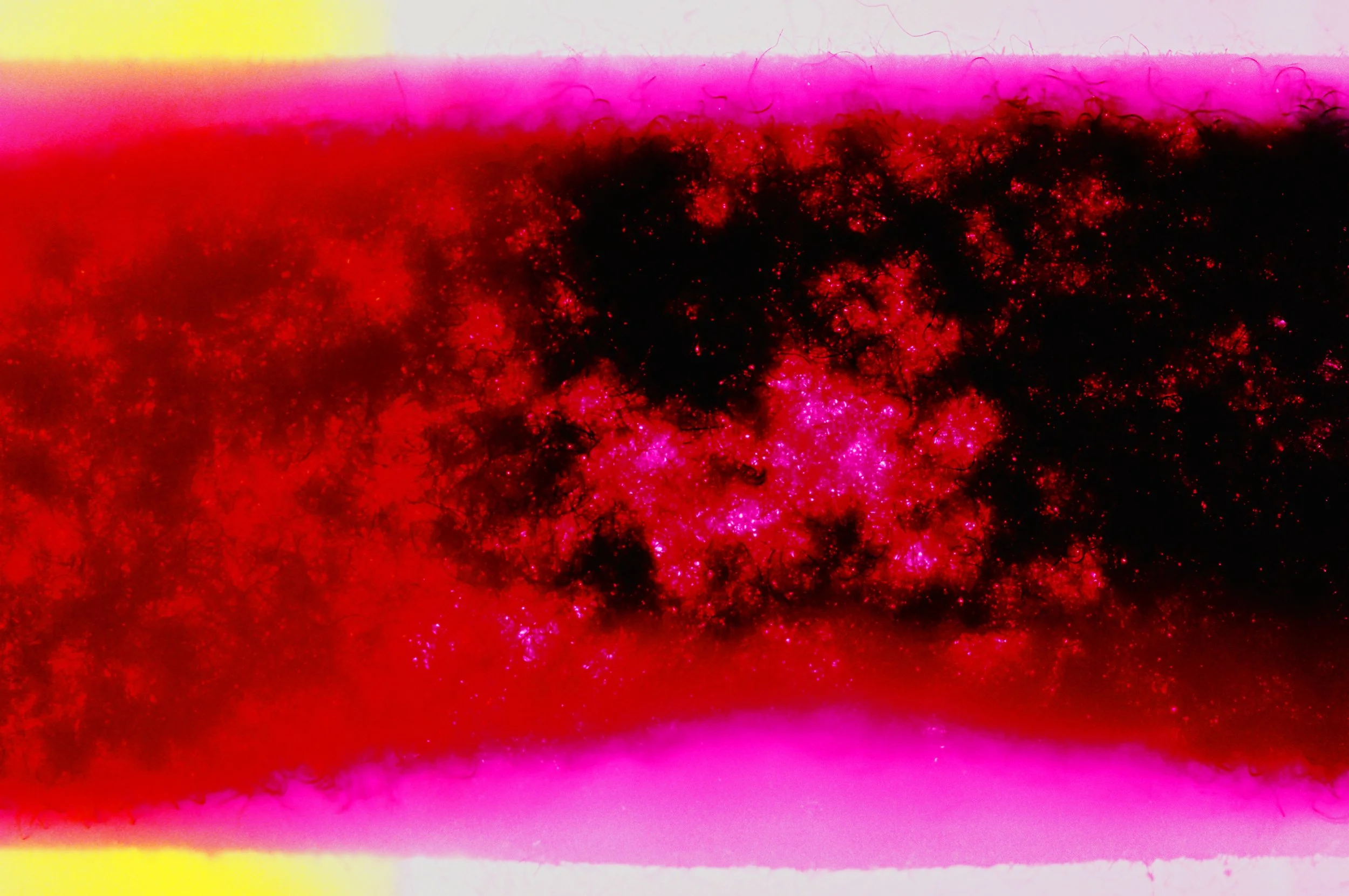 7 R1-09298-0010 e.jpg