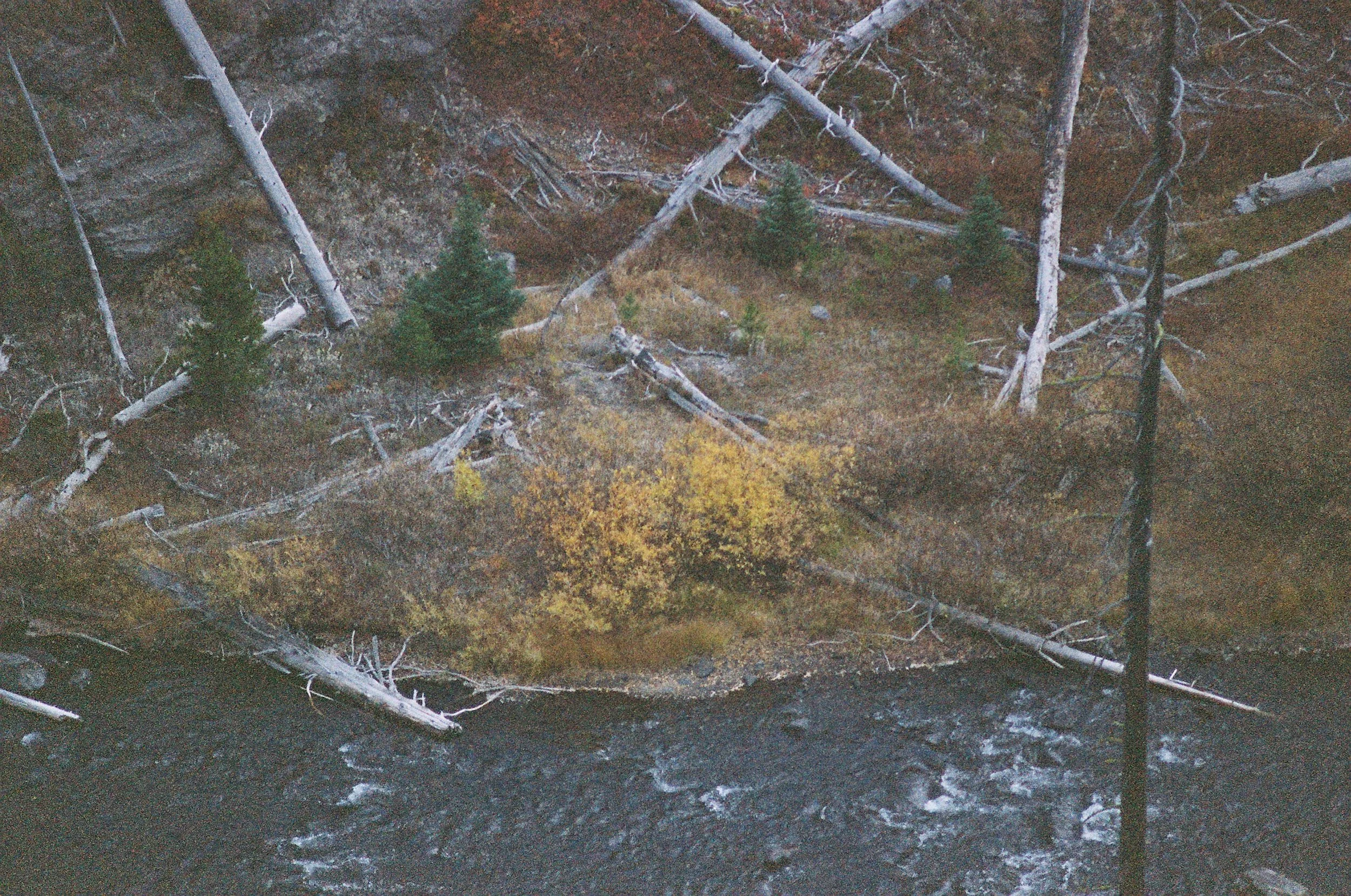 Photo Collection - a soft lunacy_9.JPG