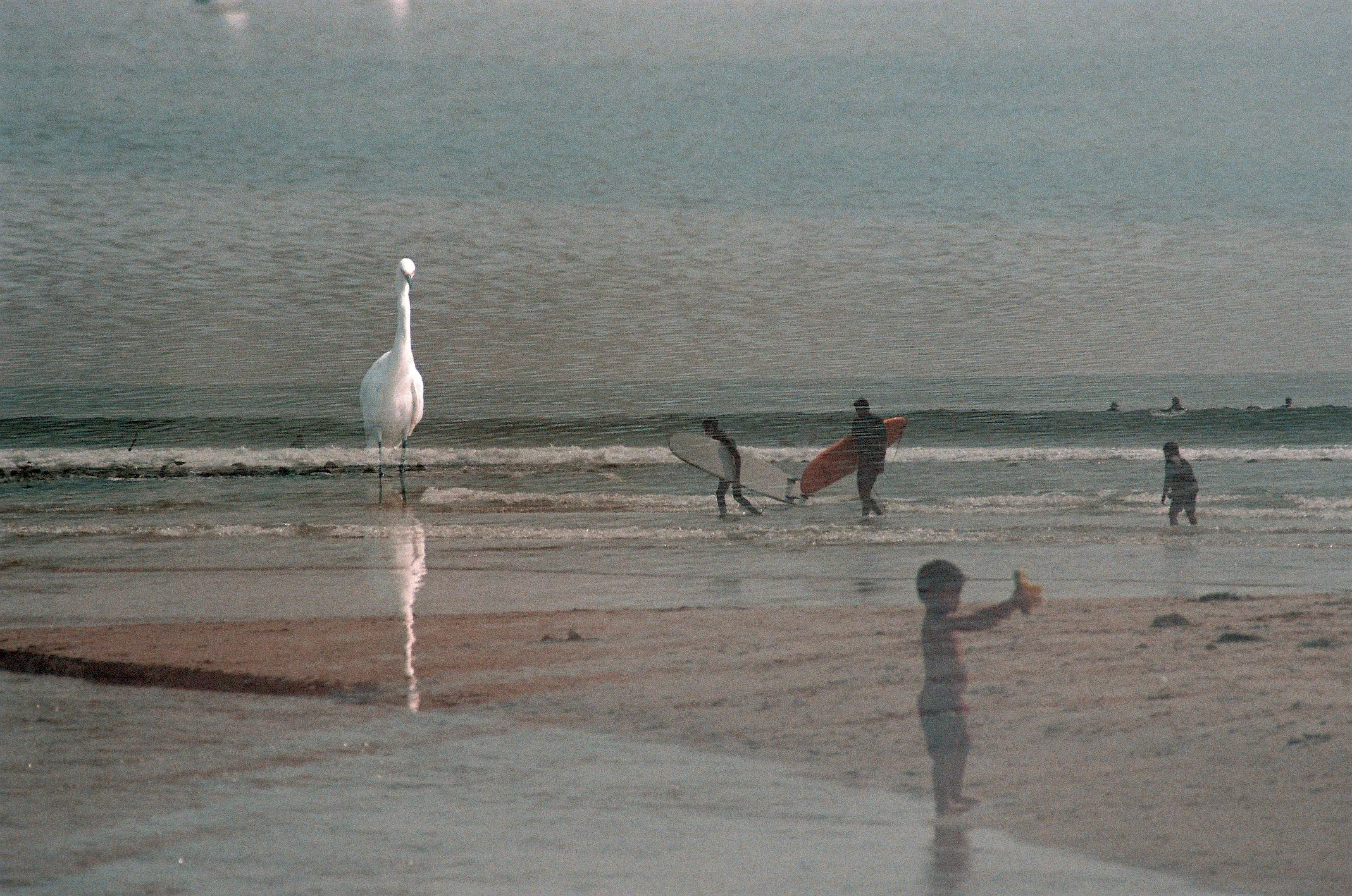 4 R1-05925-0026 e.jpg