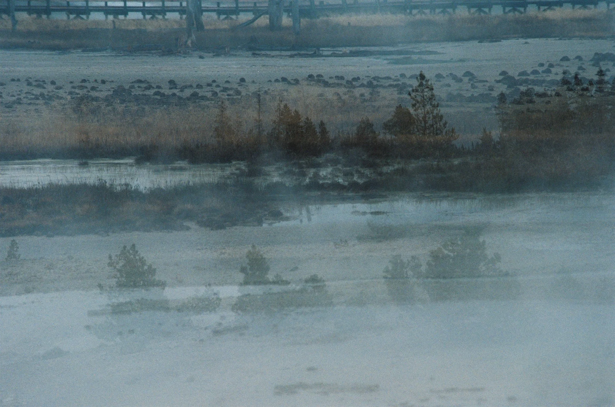 Photo Collection - a soft lunacy_8.JPG