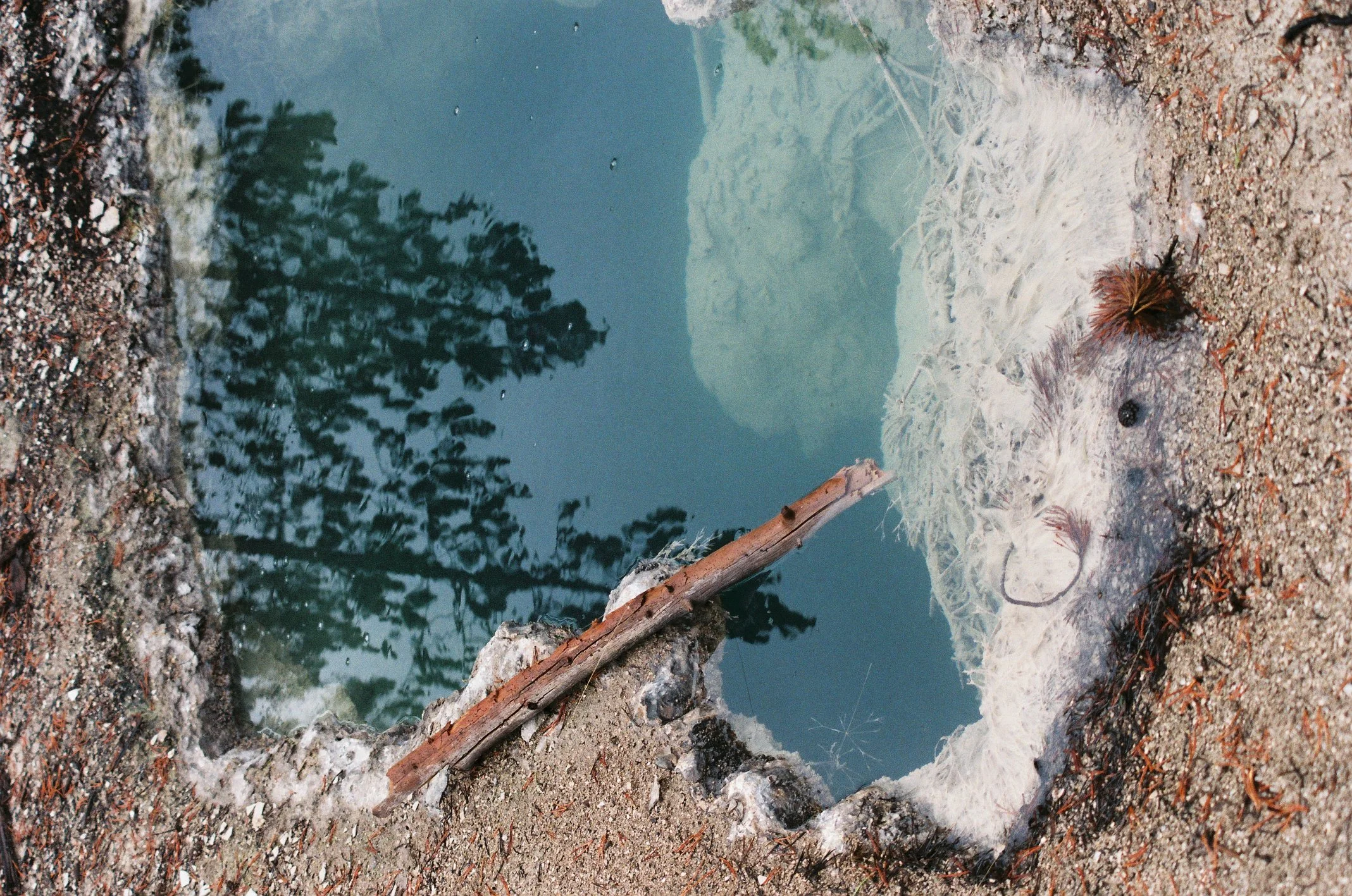 Photo Collection - a soft lunacy_5.JPG