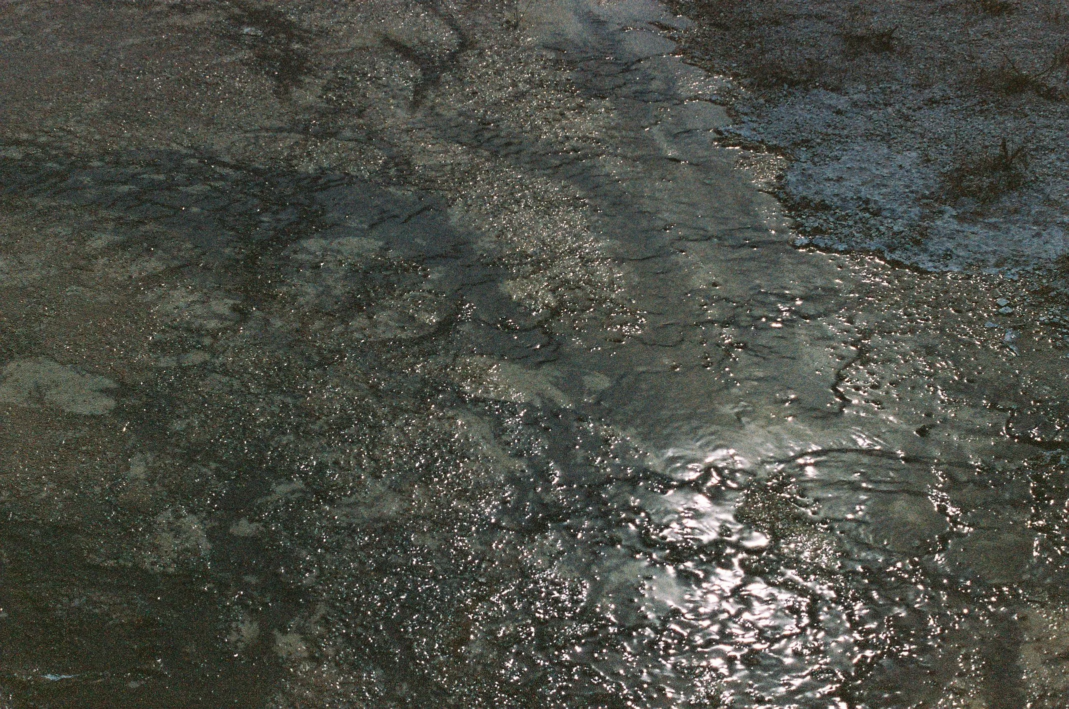 Photo Collection - a soft lunacy_25.JPG