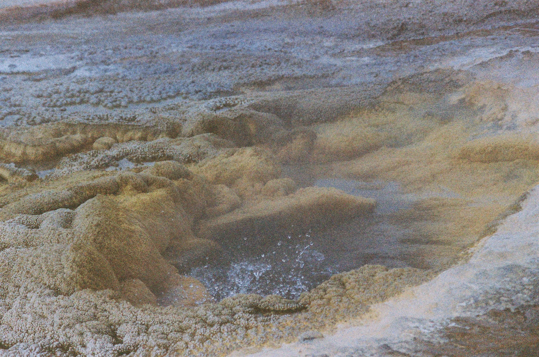 Photo Collection - a soft lunacy_15.JPG