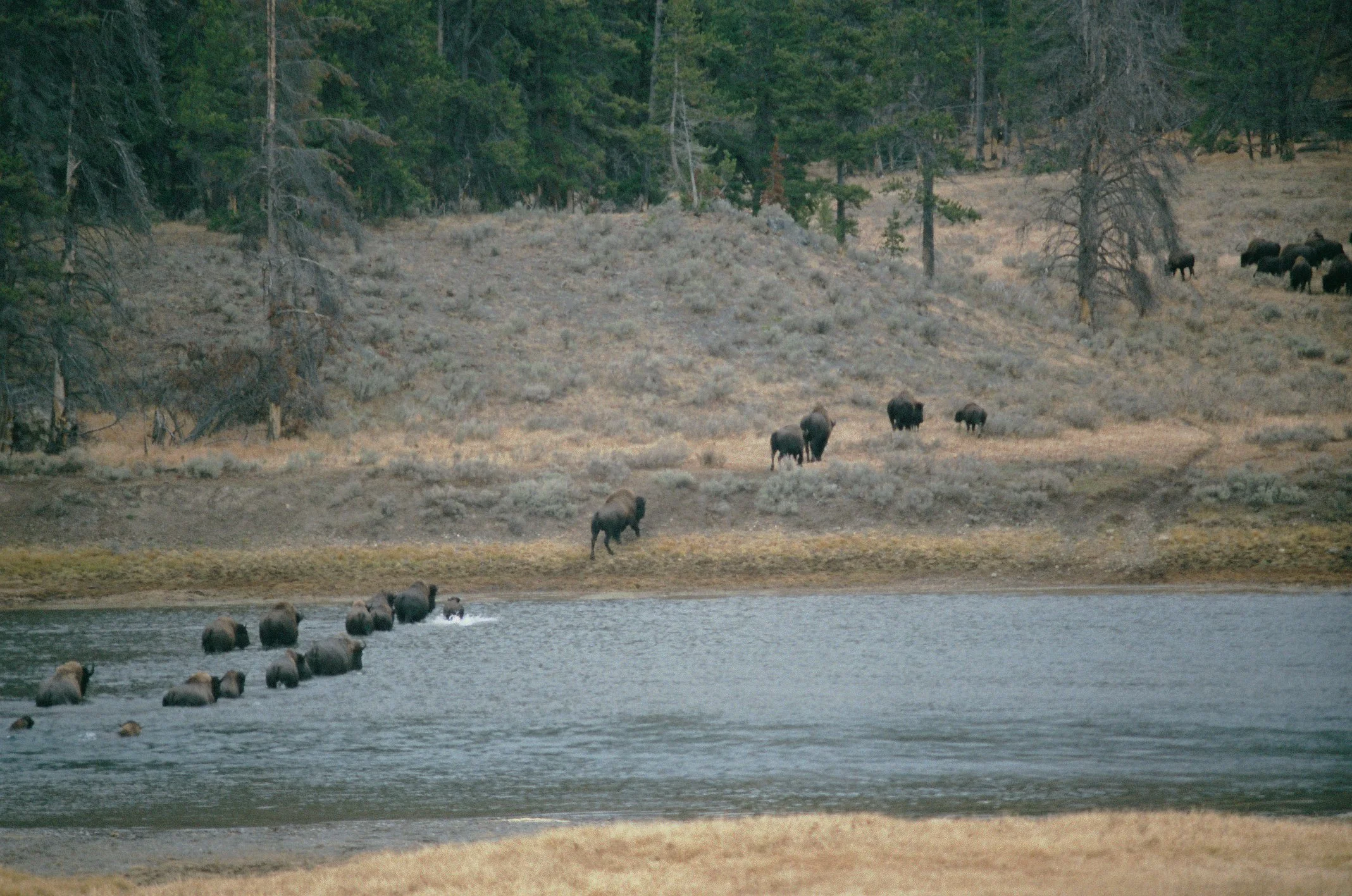 Photo Collection - a soft lunacy_21.JPG