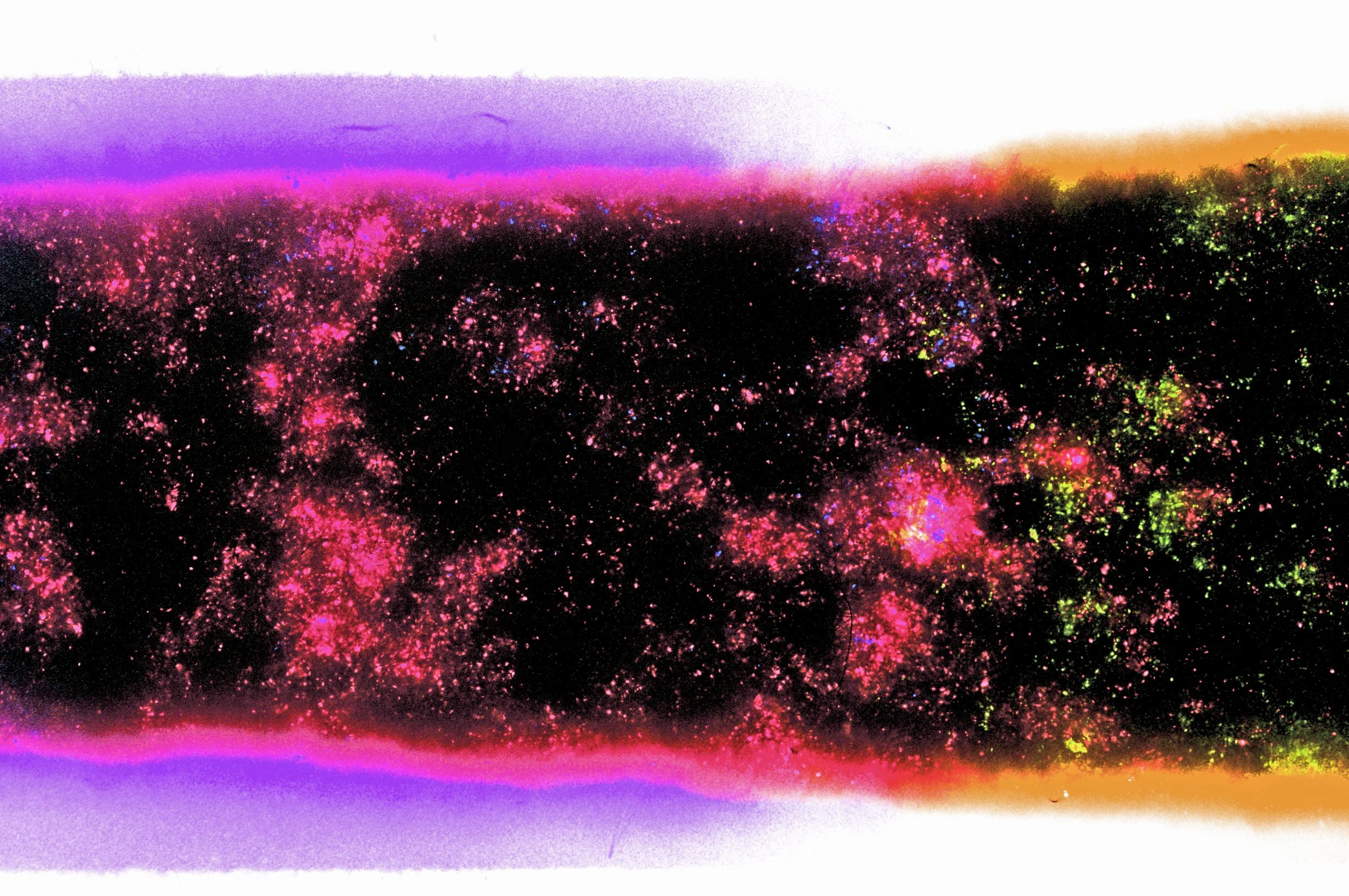 5 R1-09298-0004 e.jpg