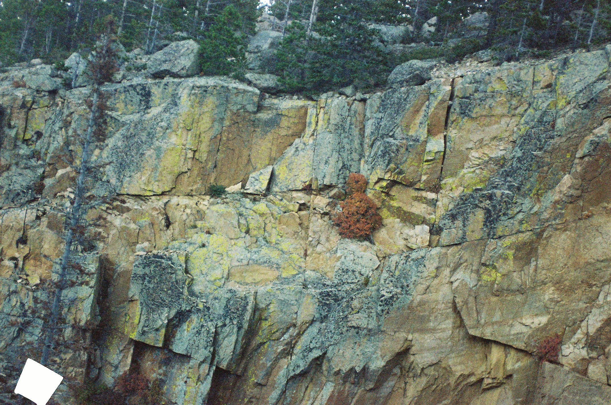 Photo Collection - a soft lunacy_10.JPG