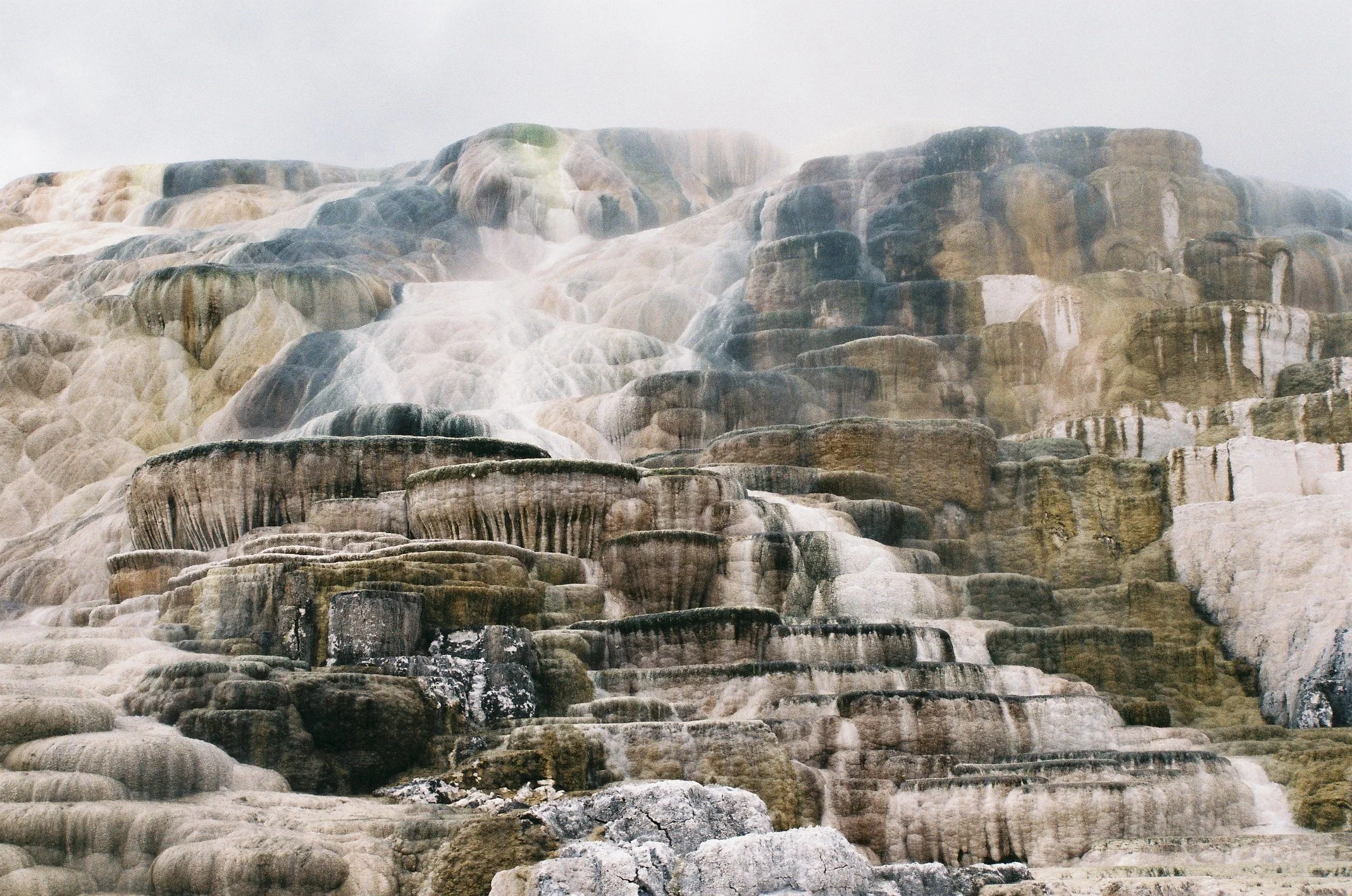 Photo Collection - a soft lunacy_1.jpeg