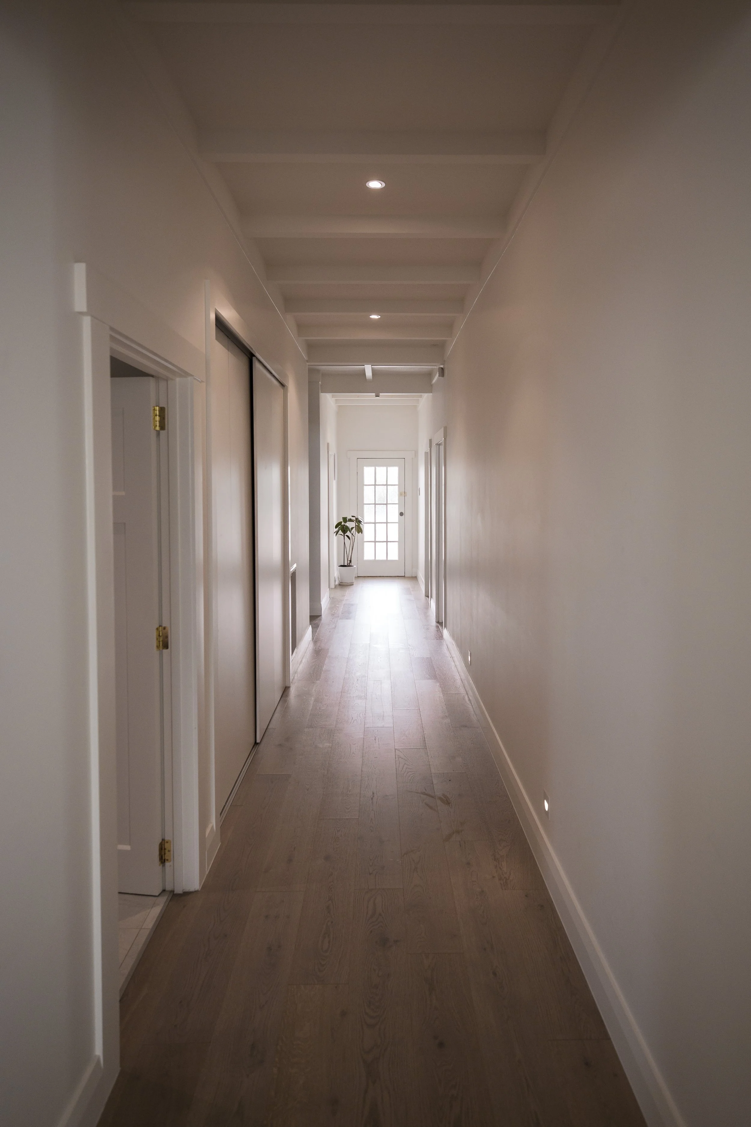 Bright hallway with wooden flooring, white walls, a windowed door at the end, and a potted plant near the door.