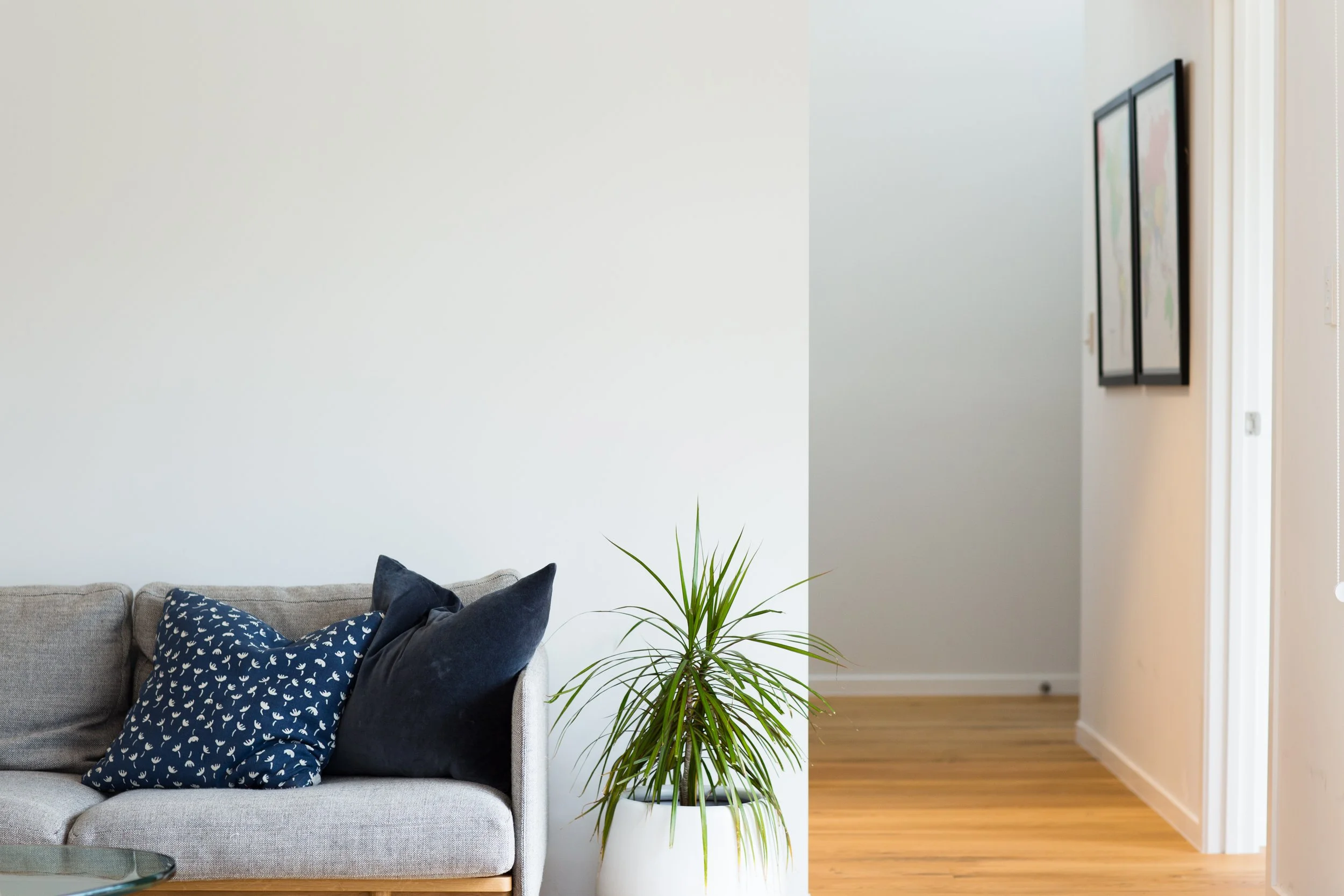 Living room with a light grey sofa, navy and dark blue pillows, a white planter with a tall green plant, and a hallway with wooden floor and framed pictures on the wall.