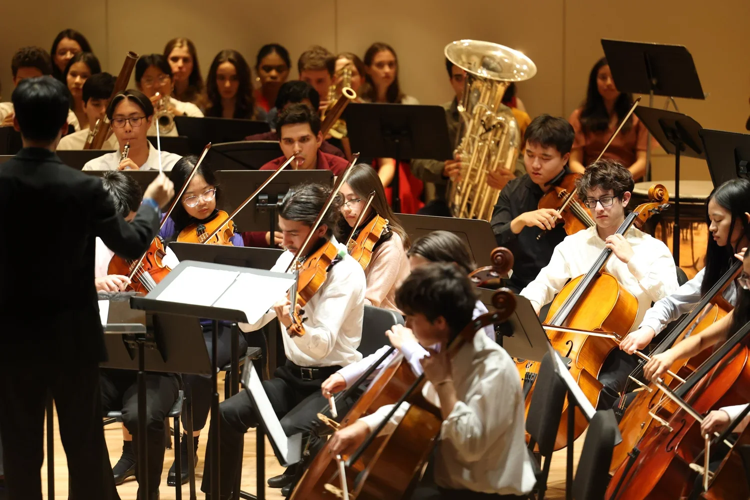 Percussion: Harvard Bach Society