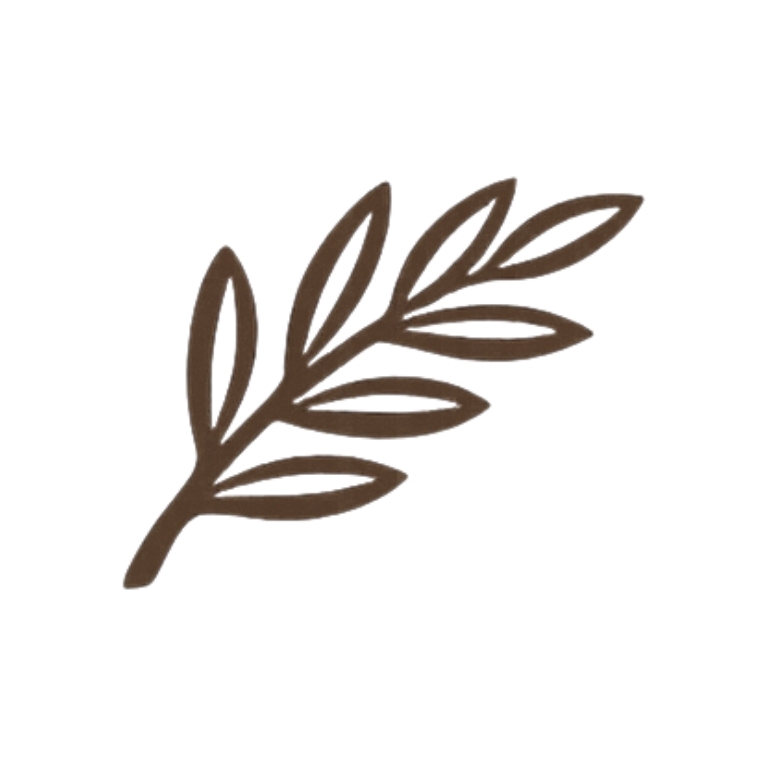 Simple brown outline of a leafy branch with multiple leaves.