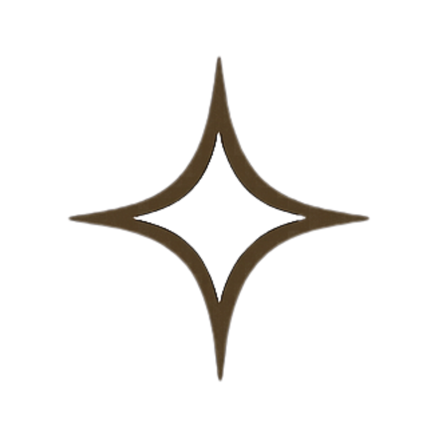 A silver star-shaped medal with a bronze-colored border and an embossed pattern in the center.