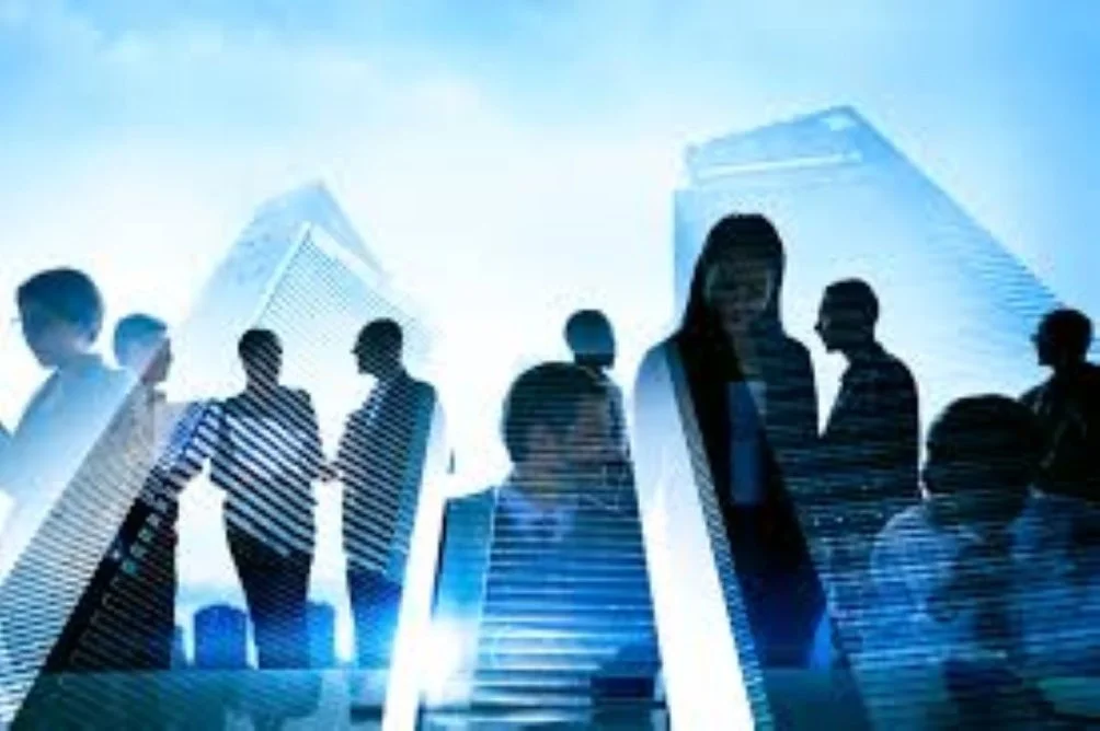 12-Month Operating Forecast