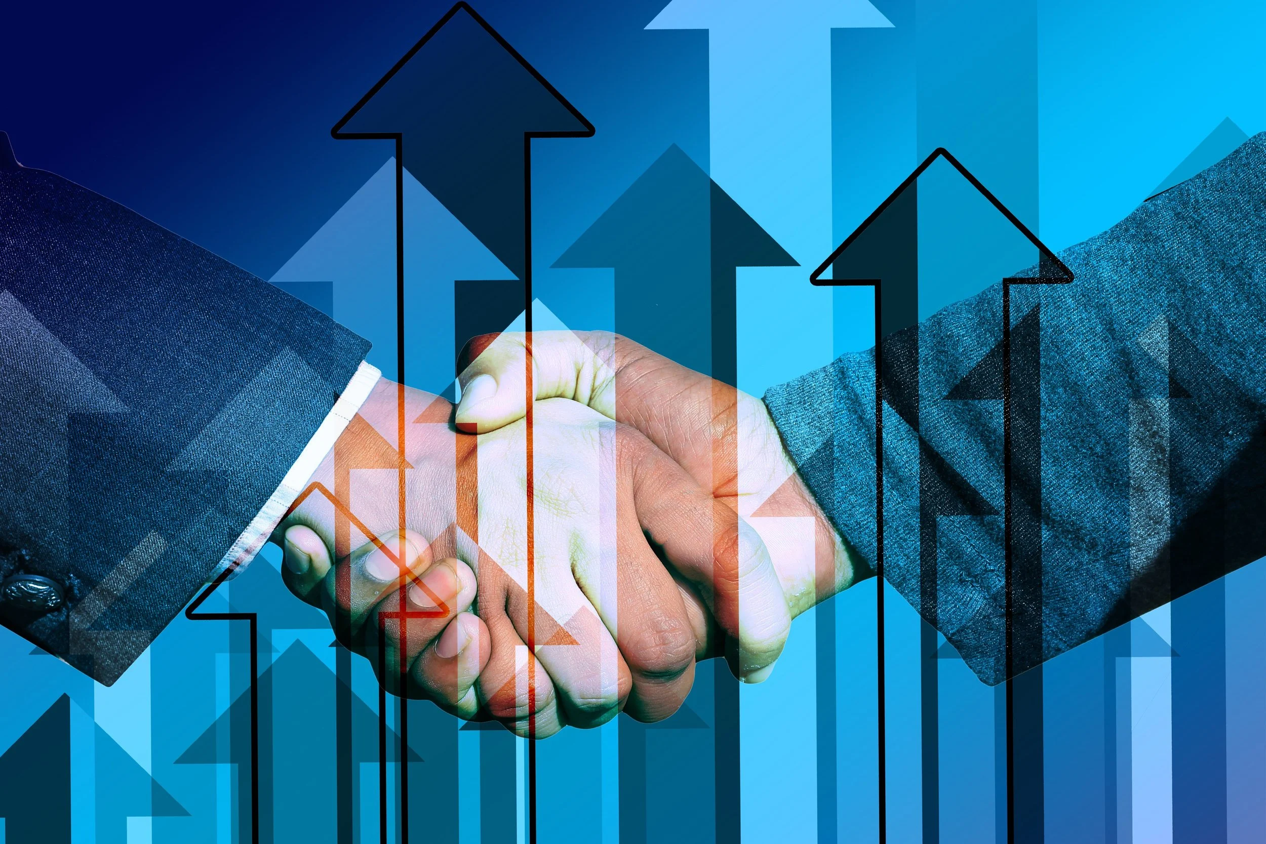 Accountant vs. CFO: Understanding the Five Distinct Financial Roles Every Business Owner Should Know