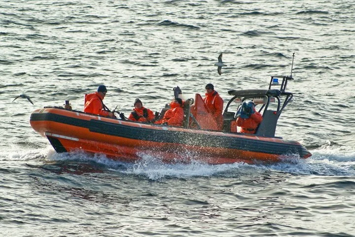 A group of people wearing orange life jackets on a small motorboat, with seagulls flying nearby, on the water during daylight.