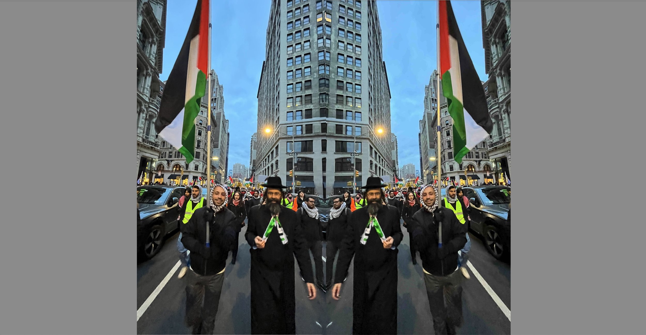 palestine protest double vision.jpeg