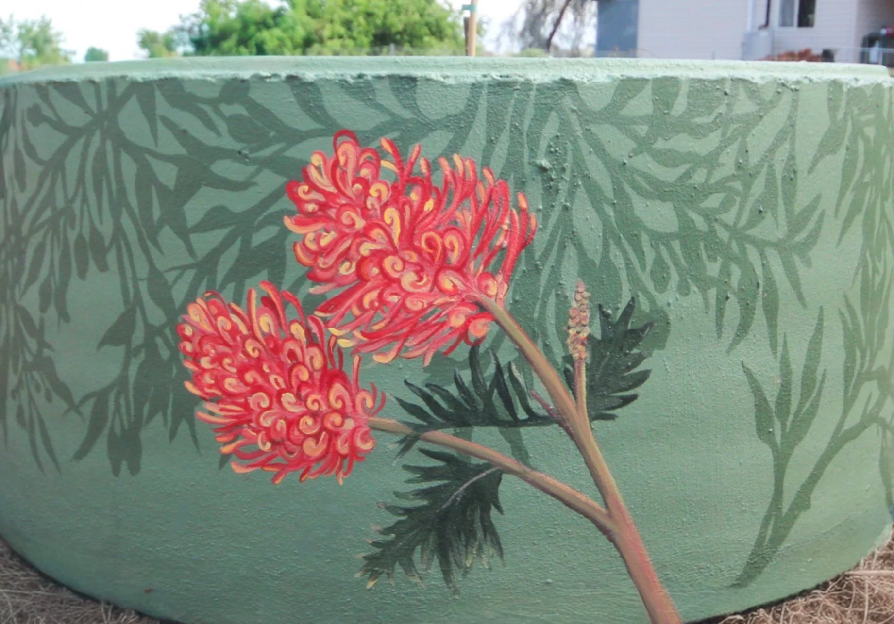 Grevillia Flower Mural on Garden Planters by Annabelle Denniss in Western Australia