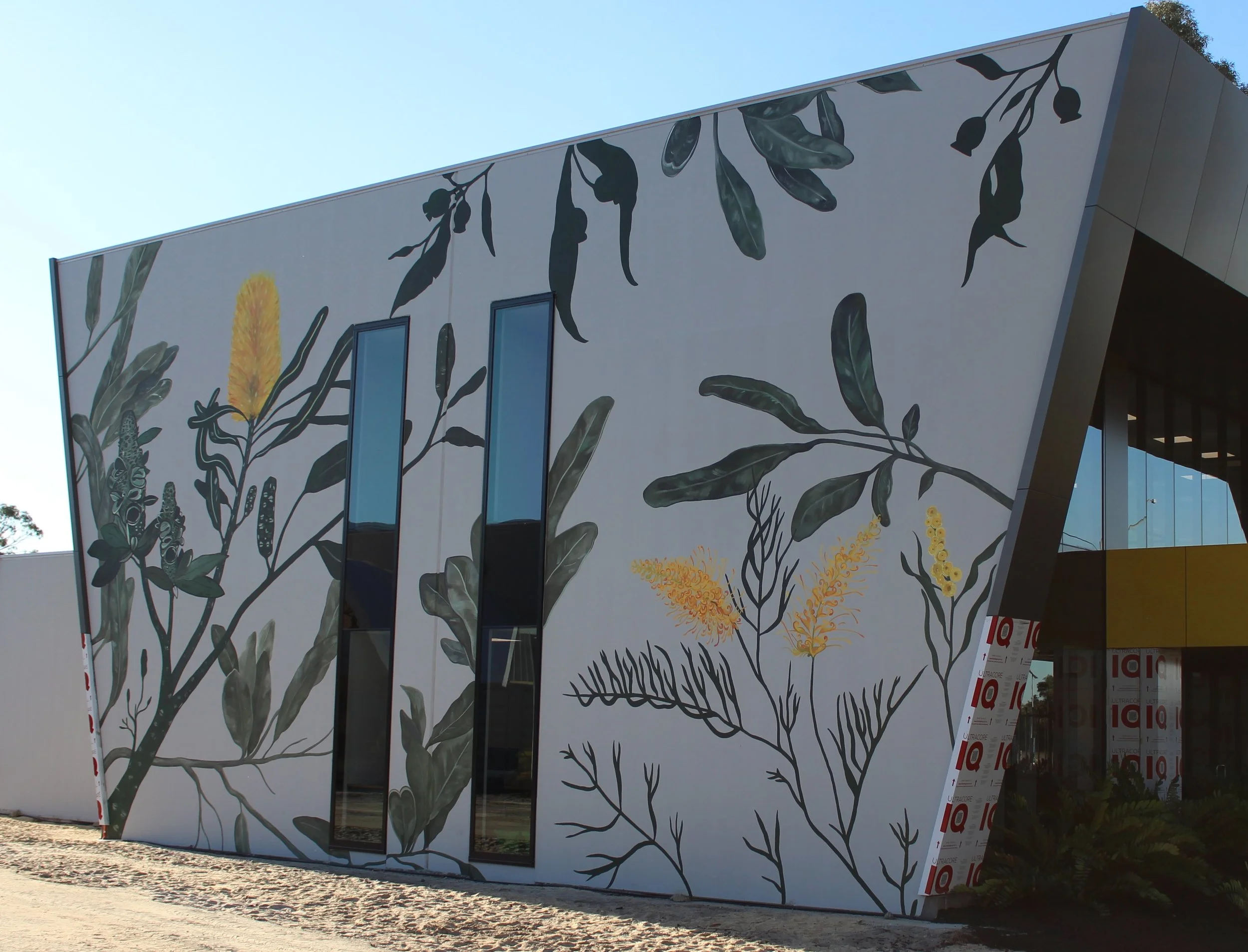 Commercial mural featuring banksia, grevillea and wattle native flowers in Belmont WA