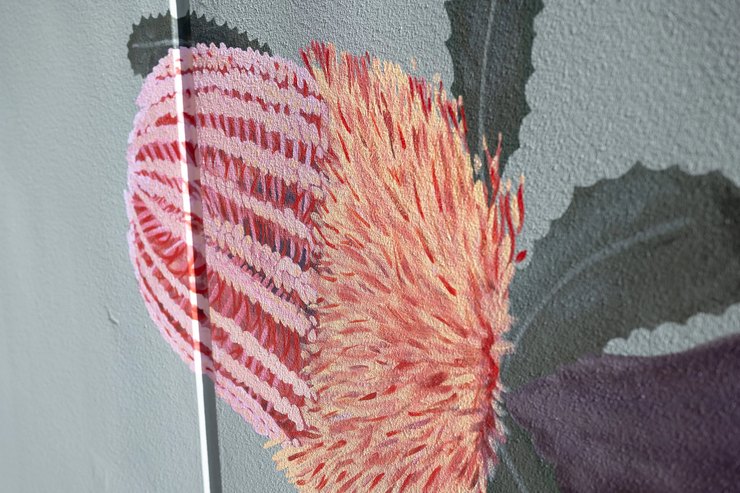 Native Western Australian banksia flower mural painted by Annabelle Denniss