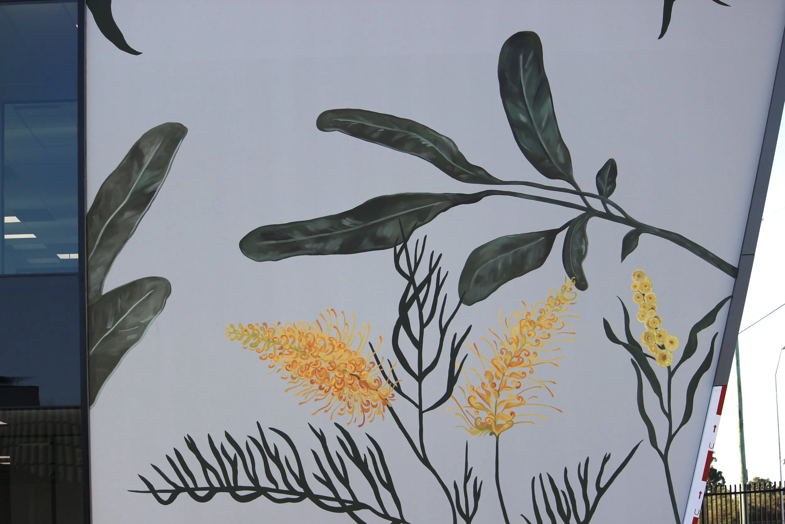 Yellow native Australian floral mural on the HEPI office building in Belmont, Western Australia