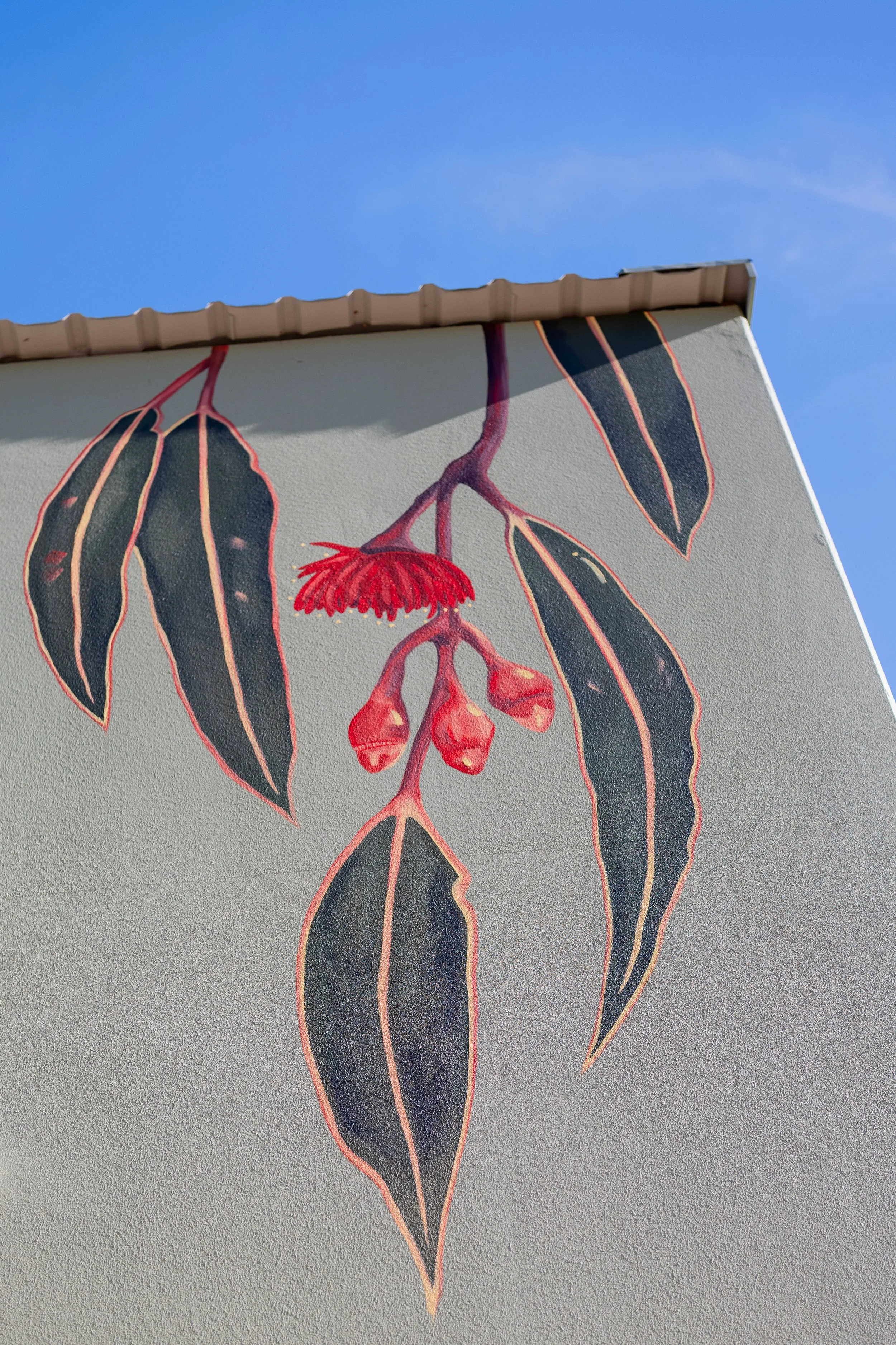 Mural of a Eucalyptus Macrocarpa Flower at the Royal Fremantle Golf Course