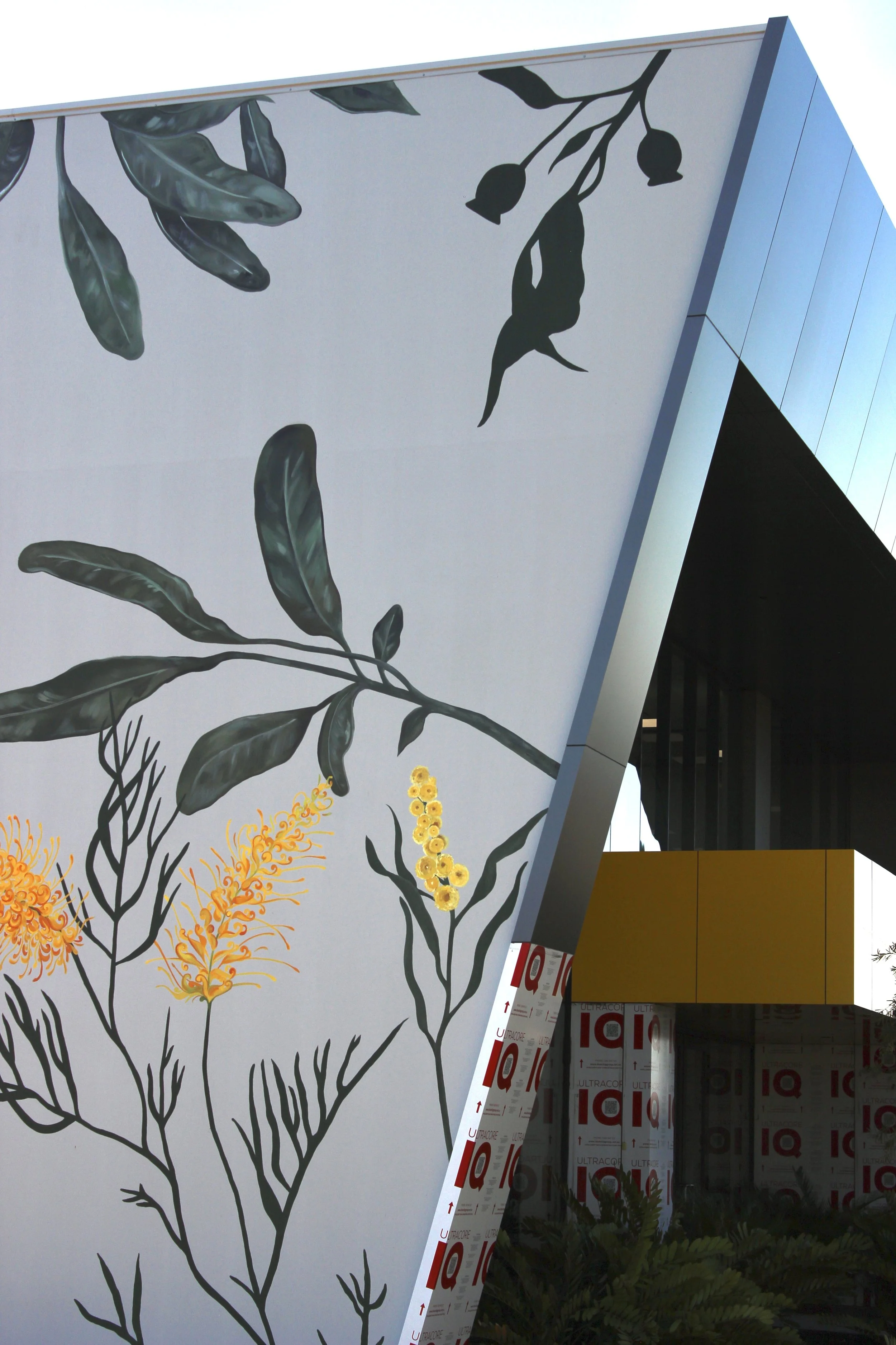 Native Yellow Australian Botanical Mural in Belmont, Western Australia at HEPI office building