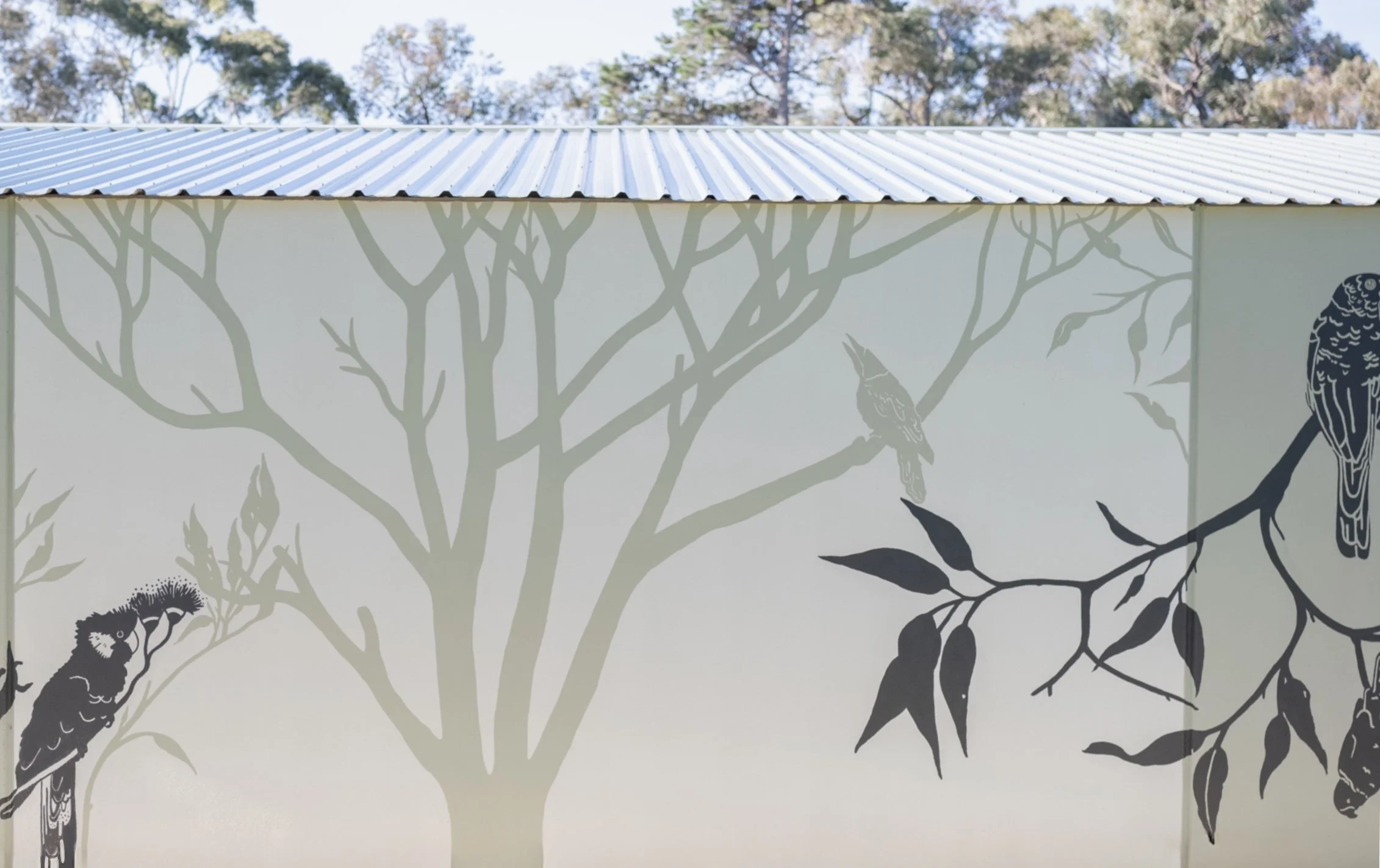 Site-specific shadow mural inspired by Australian flora and fauna, created by Annabelle Denniss