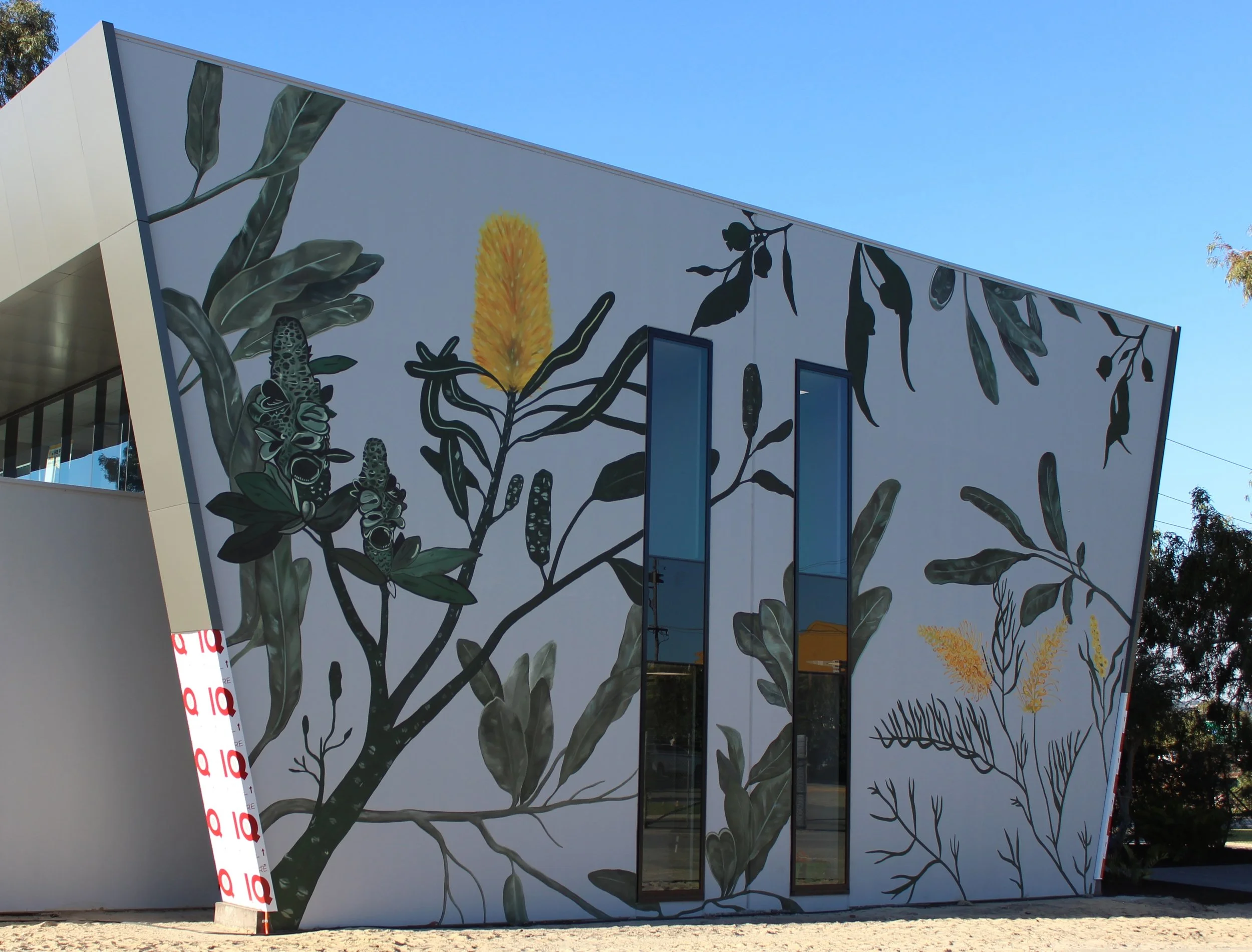 Yellow and Green Native Australian Flora Mural in Belmont, Perth