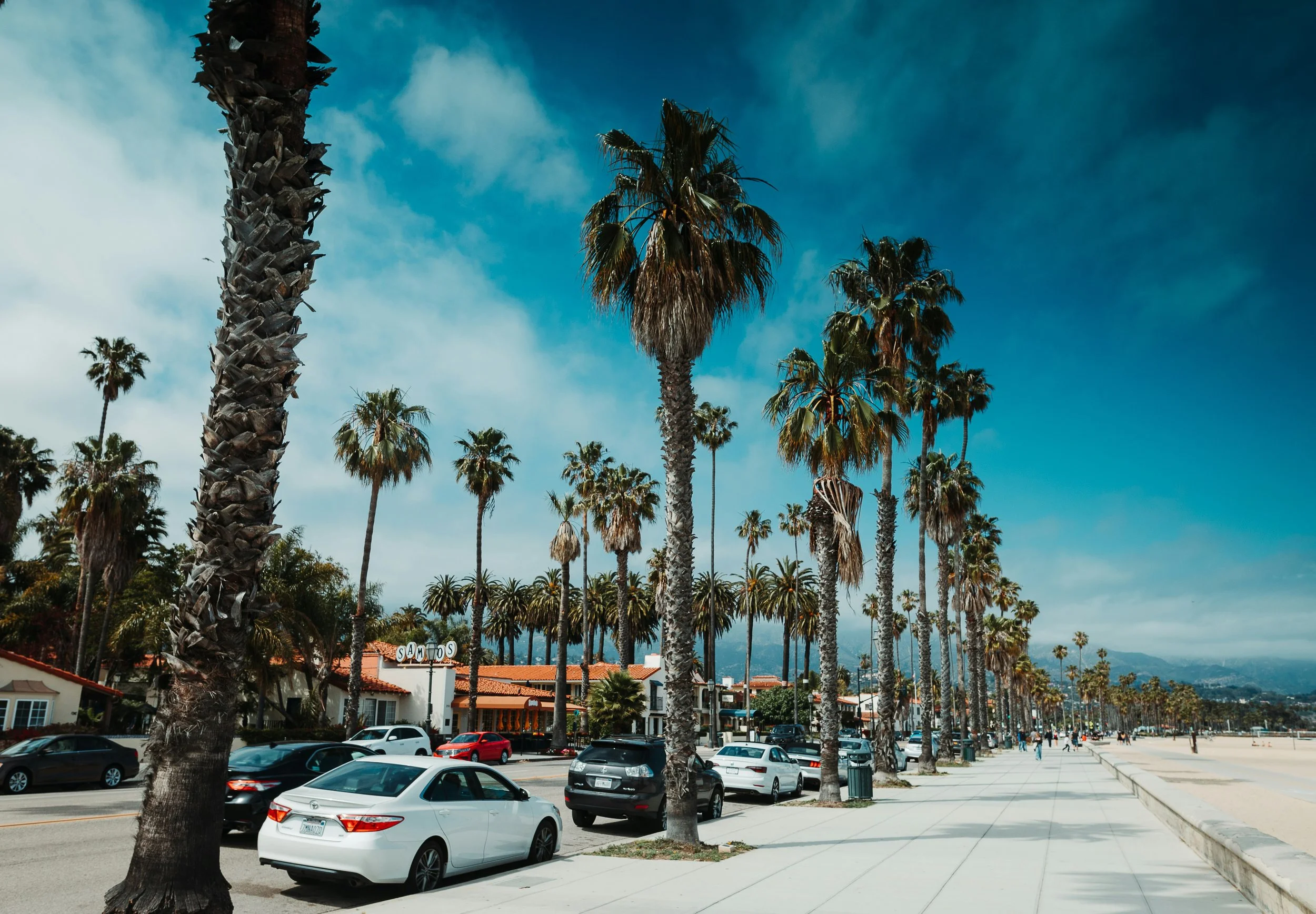 California coastal street lined with palm trees, parked cars, and a sandy beach on a sunny day.