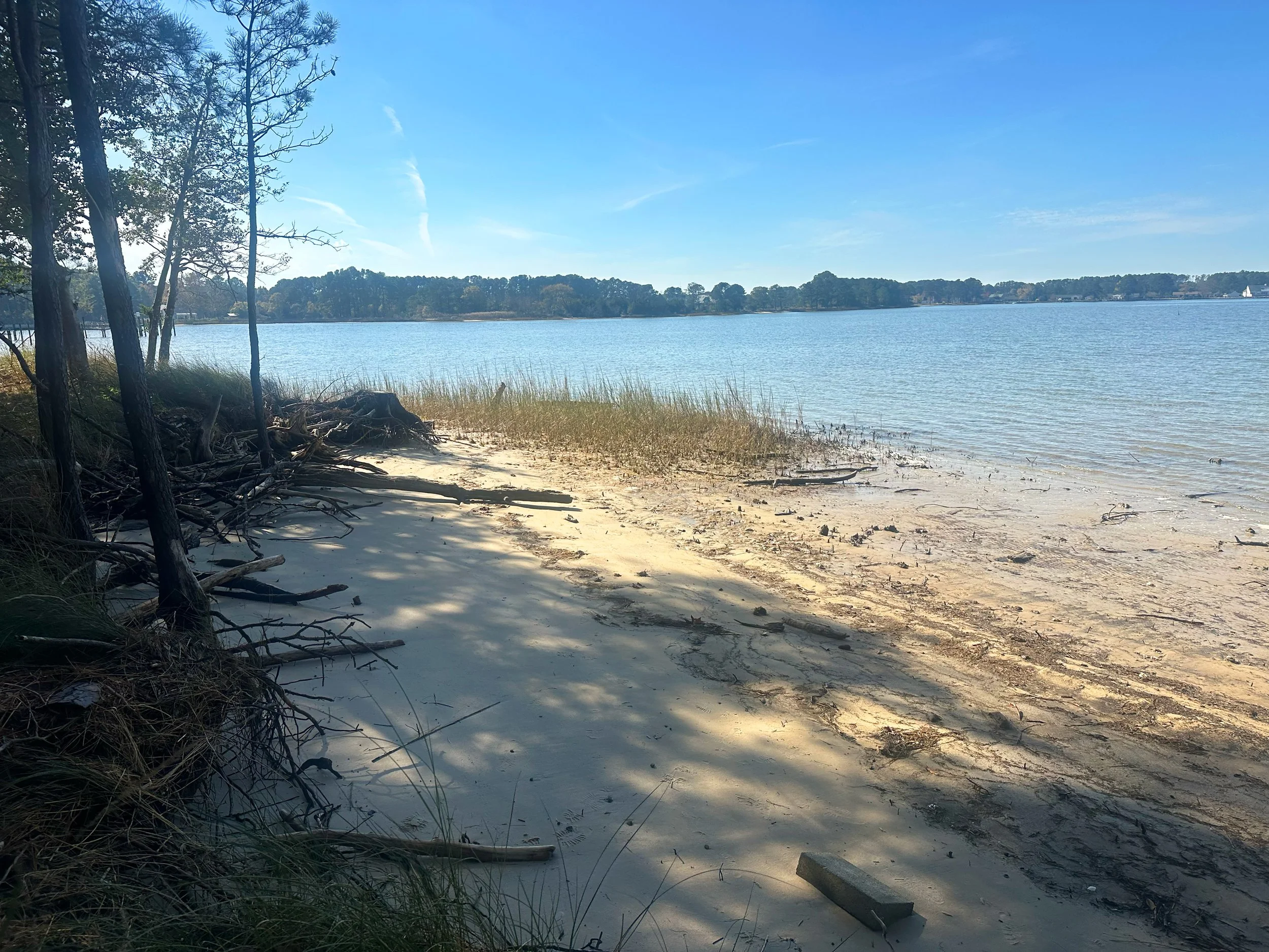 A peaceful lakeside scene with sandy beach, trees casting shade, and calm water under a clear blue sky.