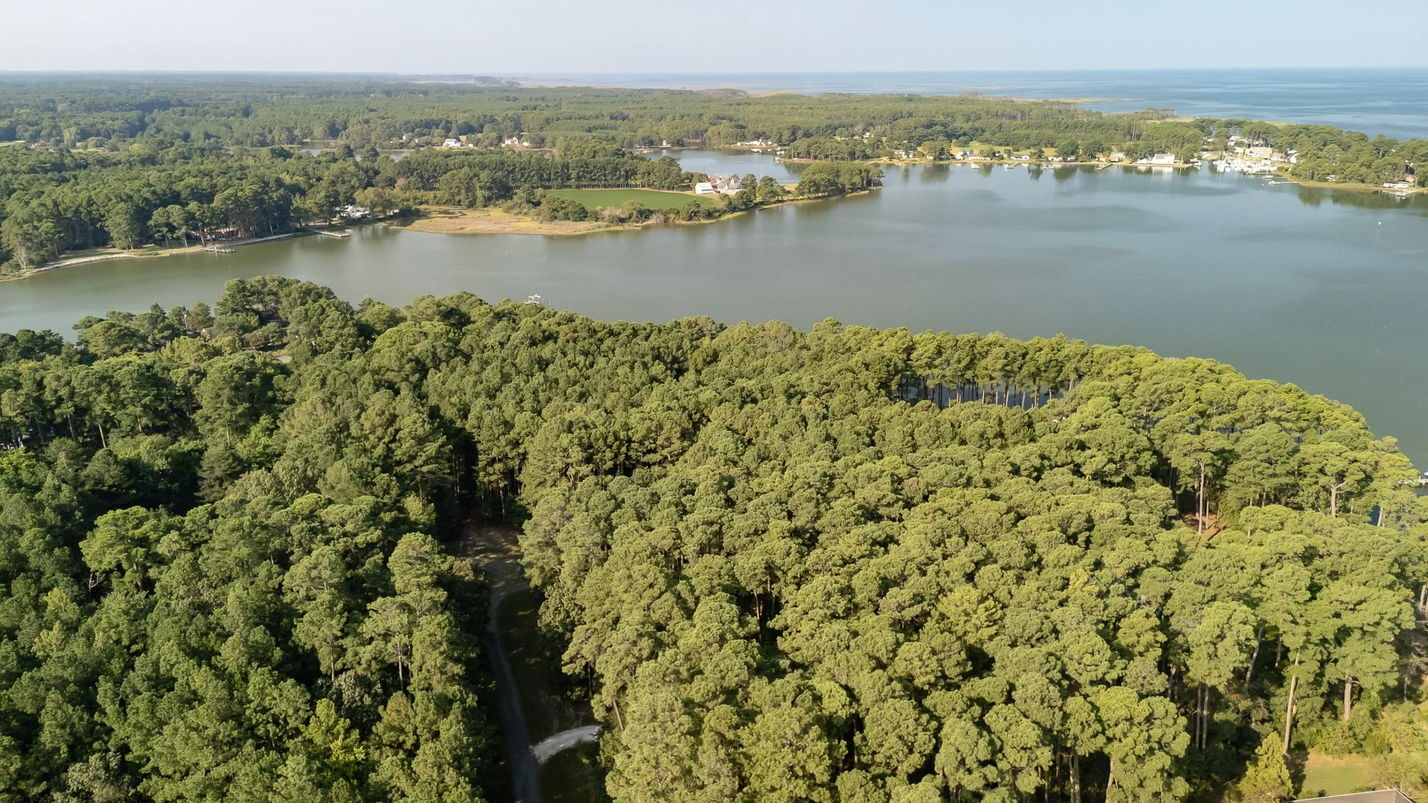 Aerial view of a large green forest surrounding a lake with houses and docks on its shoreline, and a distant view of more lakes and an open body of water in the background.