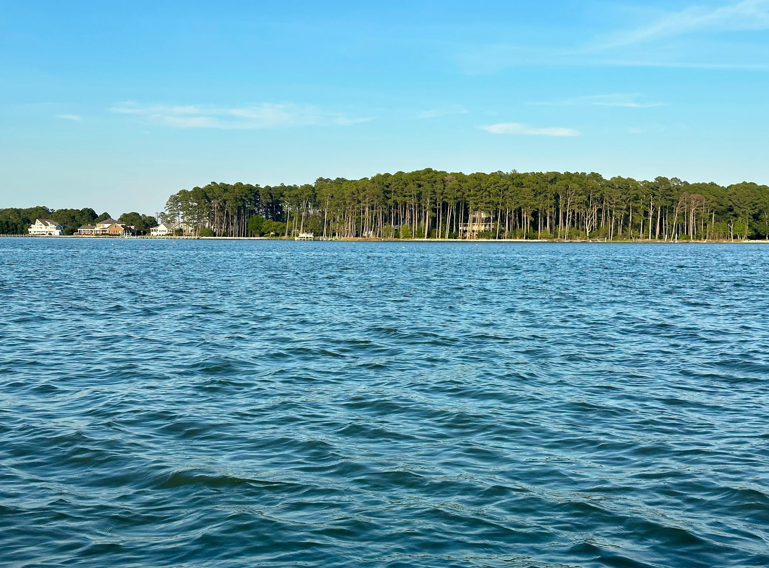 A scenic view of a large body of water with a forested shoreline in the background and a clear blue sky above.