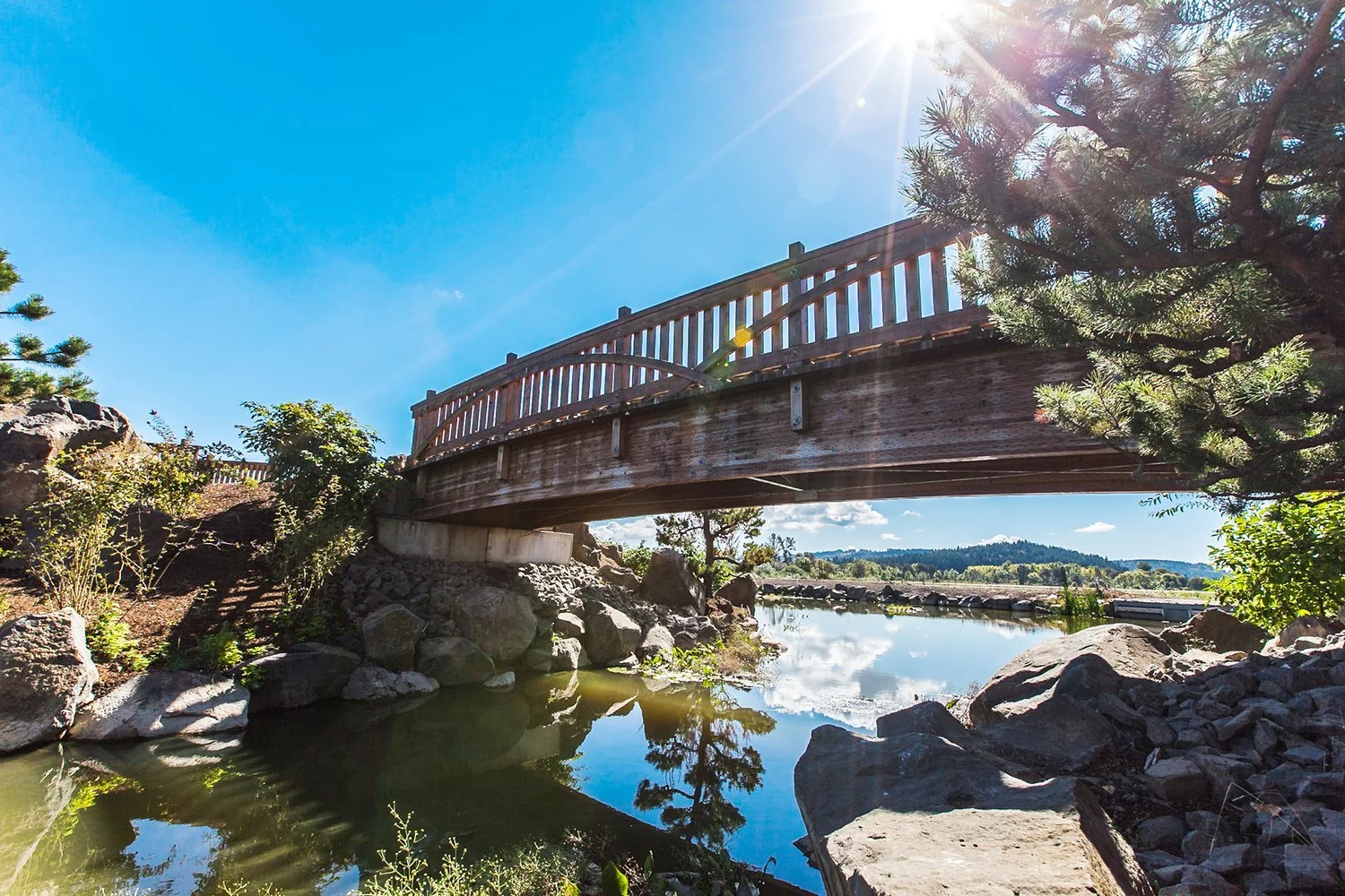 Fernhill Wetlands W/ Susan