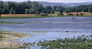 Smith and Bybee Wetlands W/ Emma