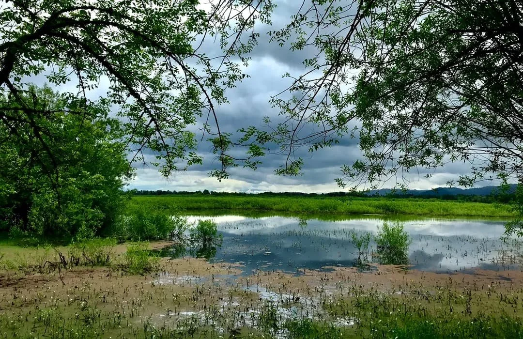 Smith and Bybee Wetlands W/ Emma