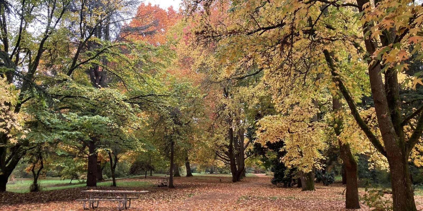 *WEATHER CANCELLATION* C̶o̶l̶u̶m̶b̶i̶a̶ ̶C̶h̶i̶l̶d̶r̶e̶n̶'̶s̶ ̶A̶r̶b̶o̶r̶e̶t̶u̶m̶ ̶&amp;̶ ̶S̶t̶e̶w̶a̶r̶d̶s̶h̶i̶p̶ ̶w̶/̶ ̶K̶i̶m̶ 