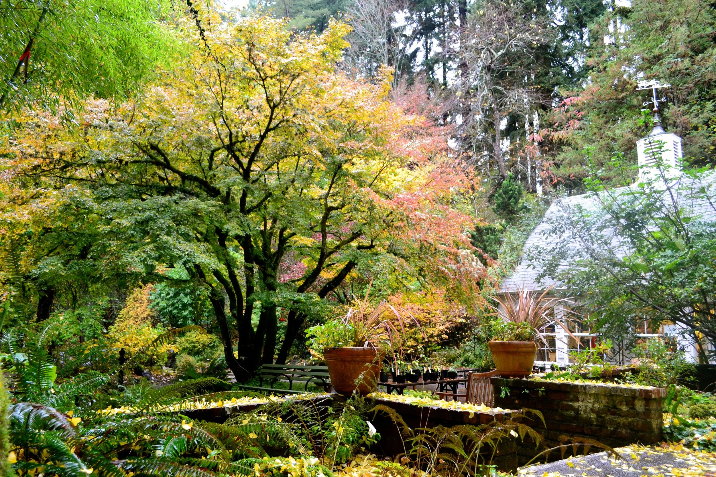 *WEATHER CANCELLATION*  ̶L̶e̶a̶c̶h̶ ̶B̶o̶t̶a̶n̶i̶c̶a̶l̶ ̶G̶a̶r̶d̶e̶n̶ ̶W̶/̶ ̶E̶r̶i̶c̶ ̶(̶S̶e̶y̶m̶o̶r̶e̶ ̶G̶u̶l̶l̶s̶)̶