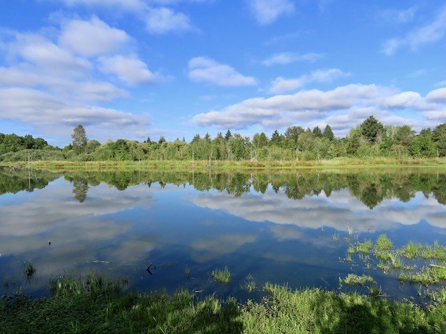Koll Business Center Wetlands W/ Lauren &amp; Mel