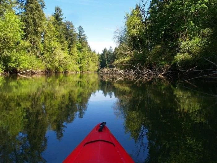 Paddling Trip on The Tualatin w/ Devin