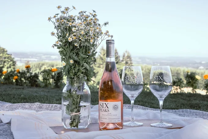 Birds And Bottles Fundraiser @ Six Peaks Winery