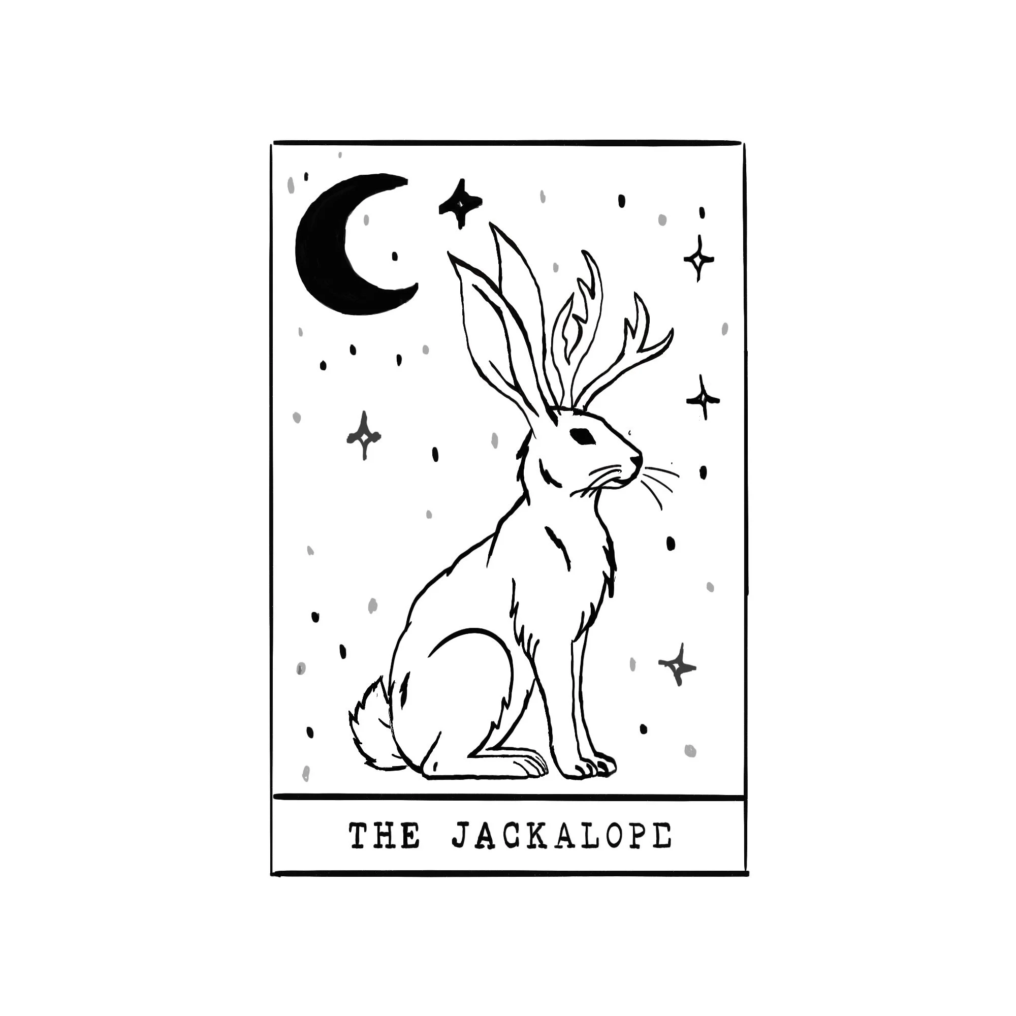 jackalope_squarespace_square.jpeg