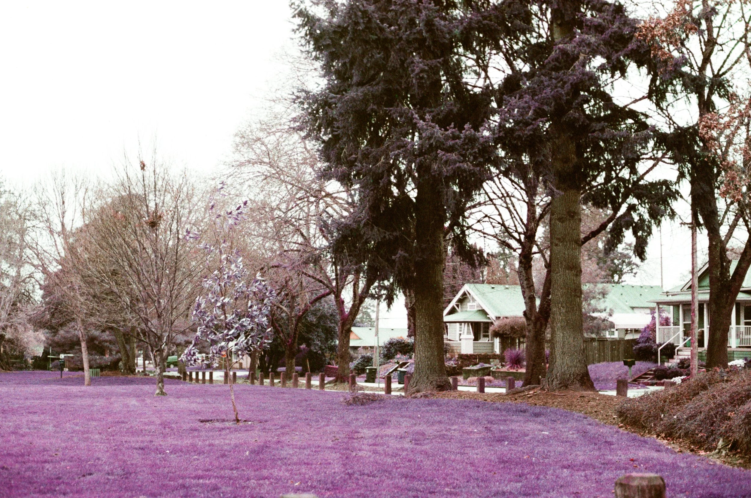 000013790036.jpg